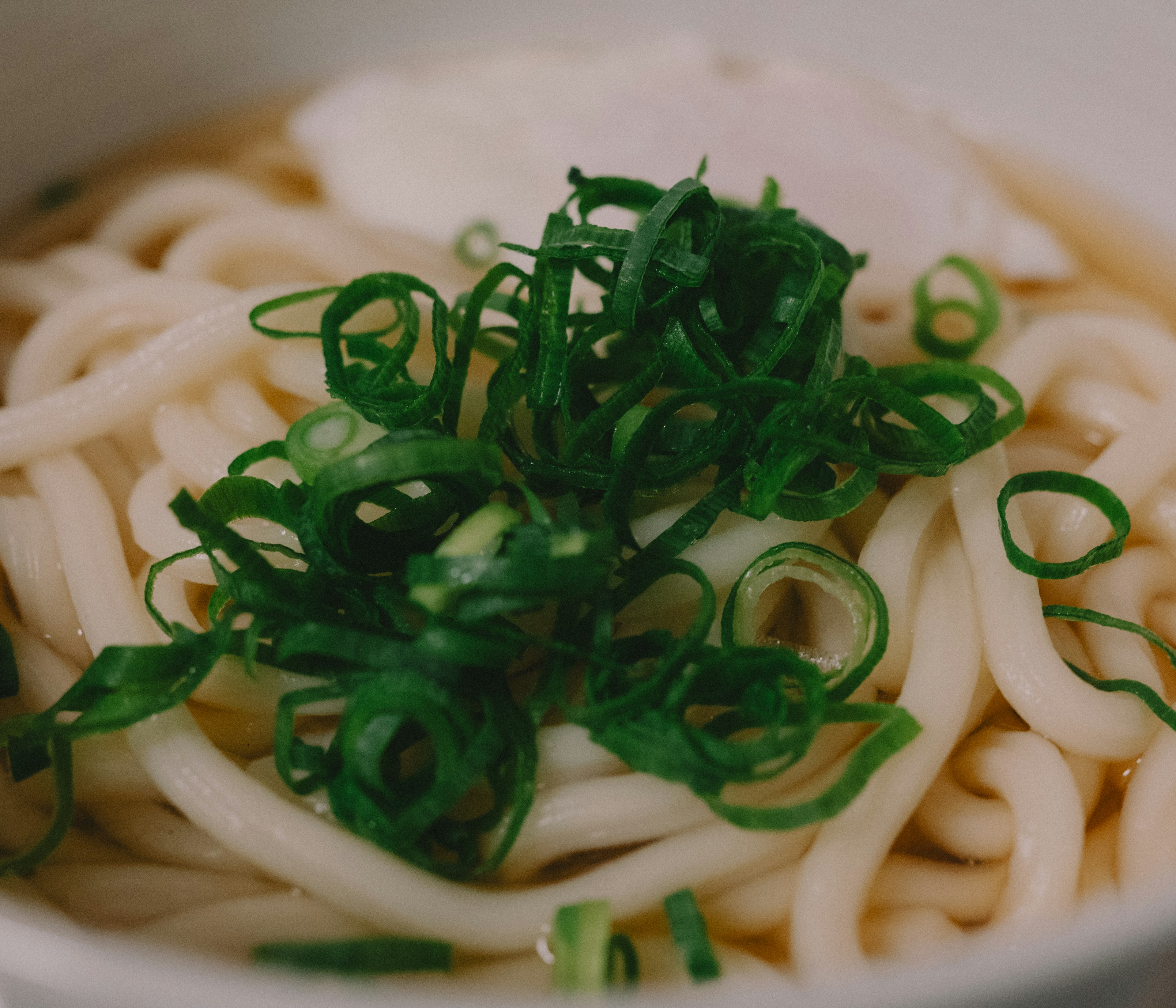 Close-up of udon noodles topped with chopped green onions