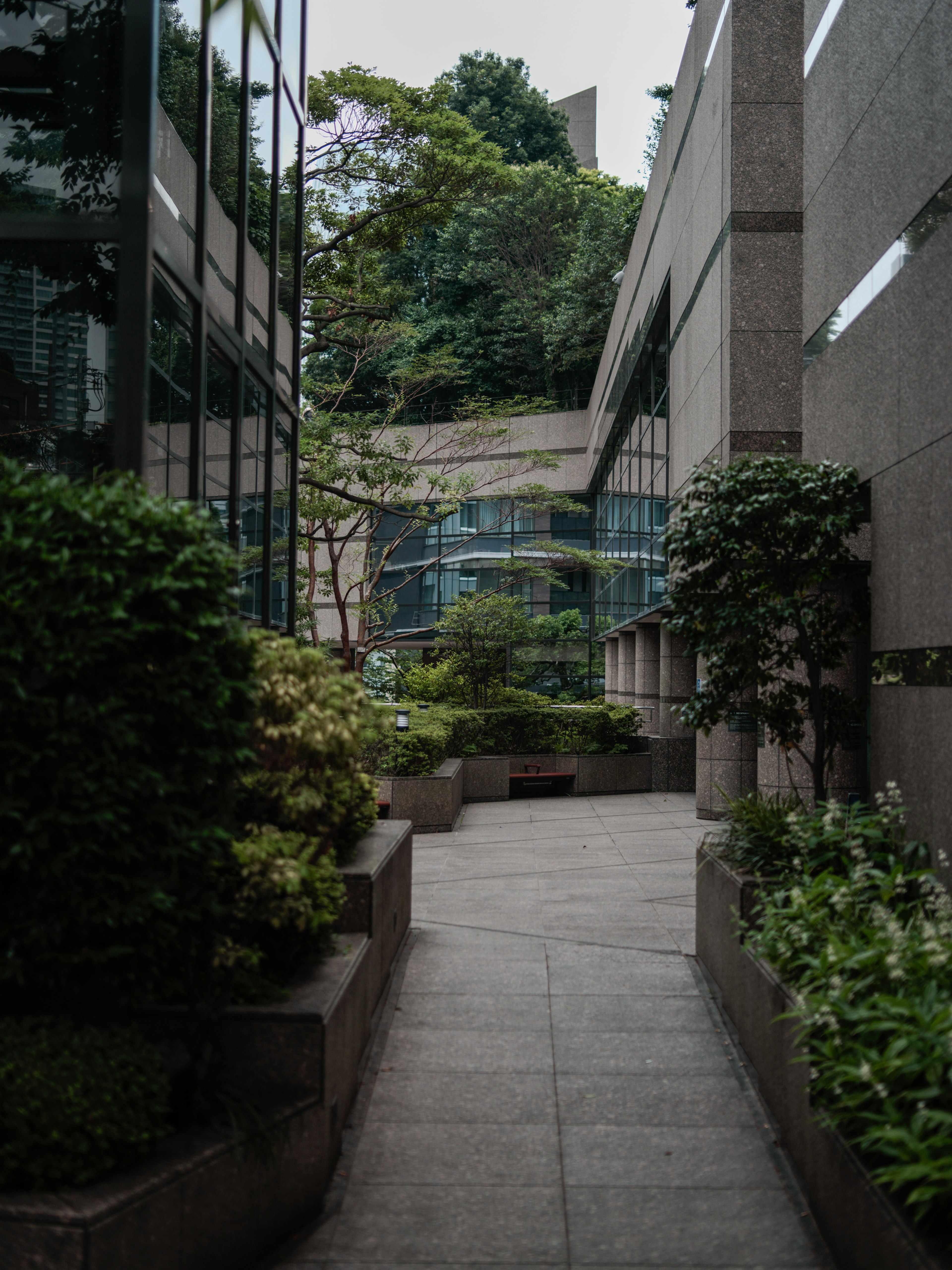 Pathway between modern buildings surrounded by lush greenery