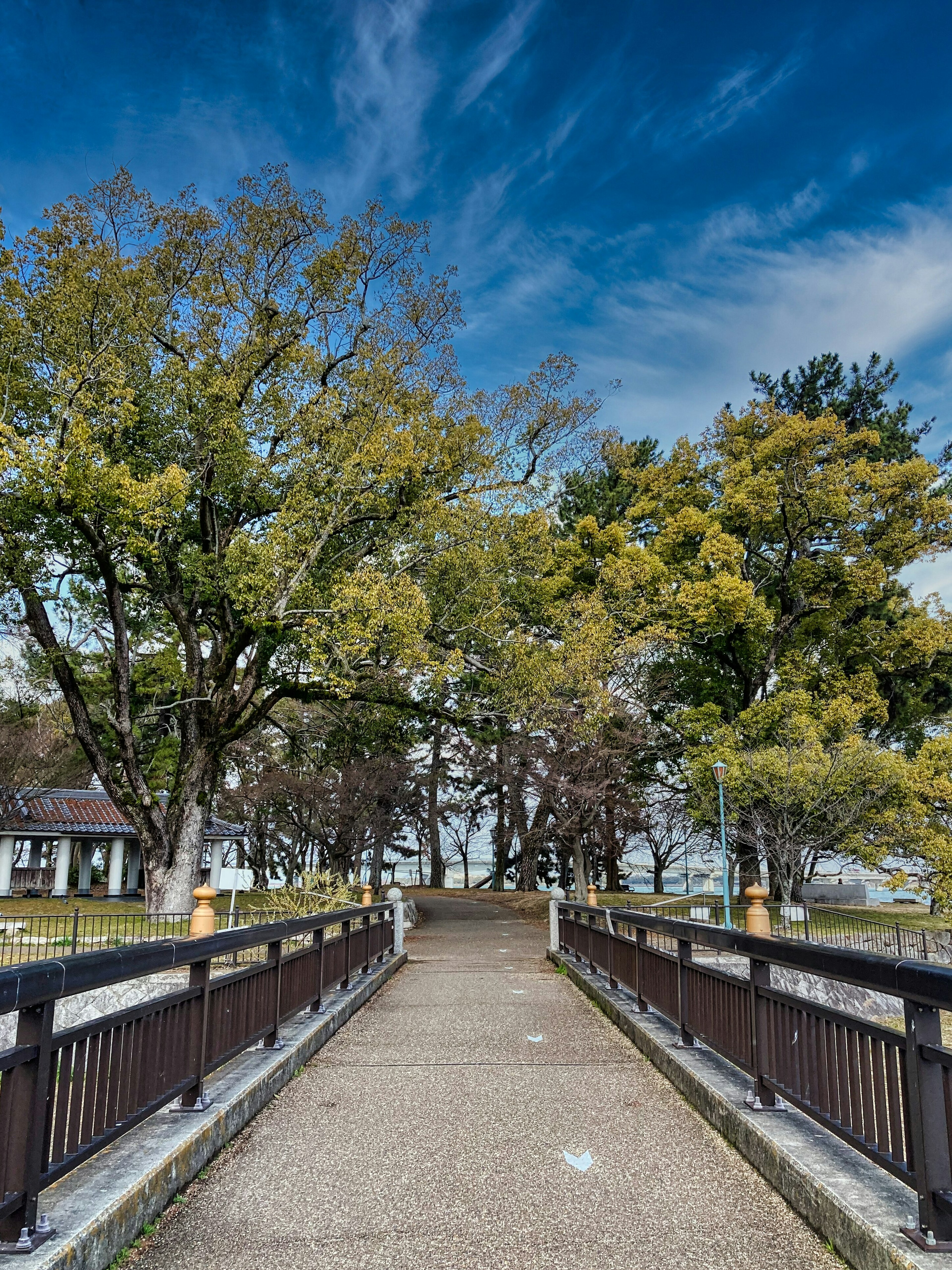 Sentier menant à travers des arbres sous un ciel bleu