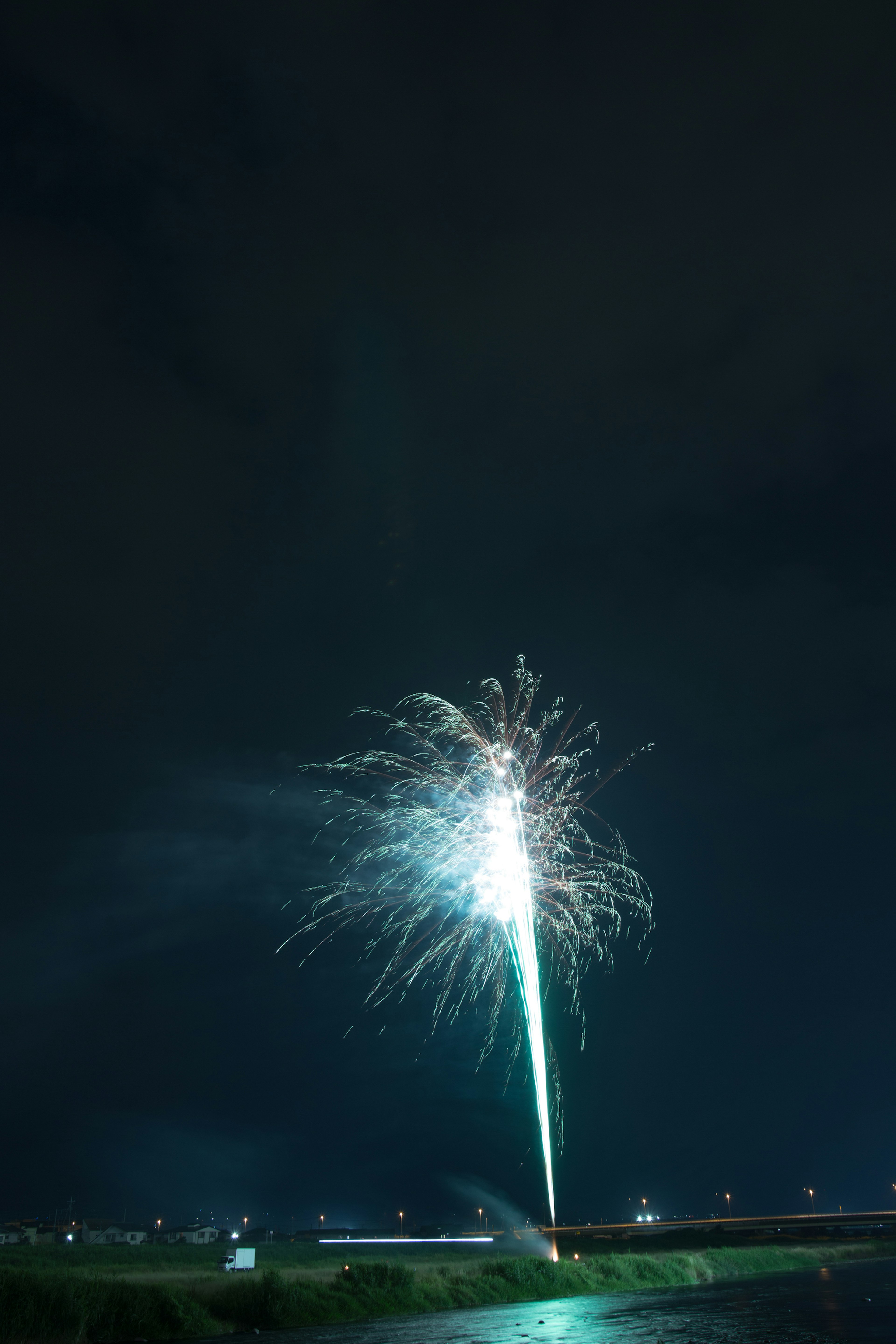 A vibrant green firework burst illuminating the night sky