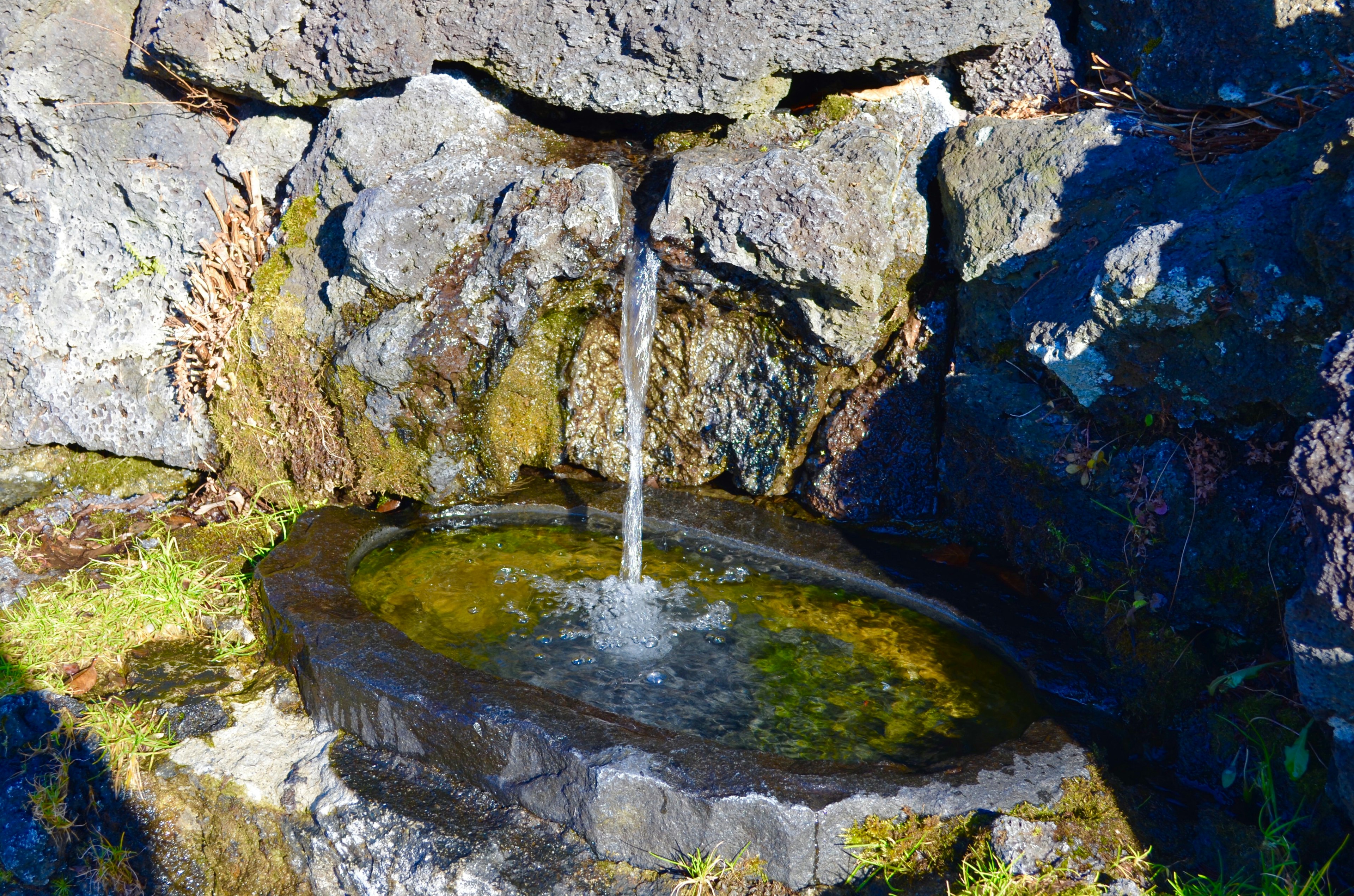 Wasserquelle, die aus Felsen mit Moos herum fließt