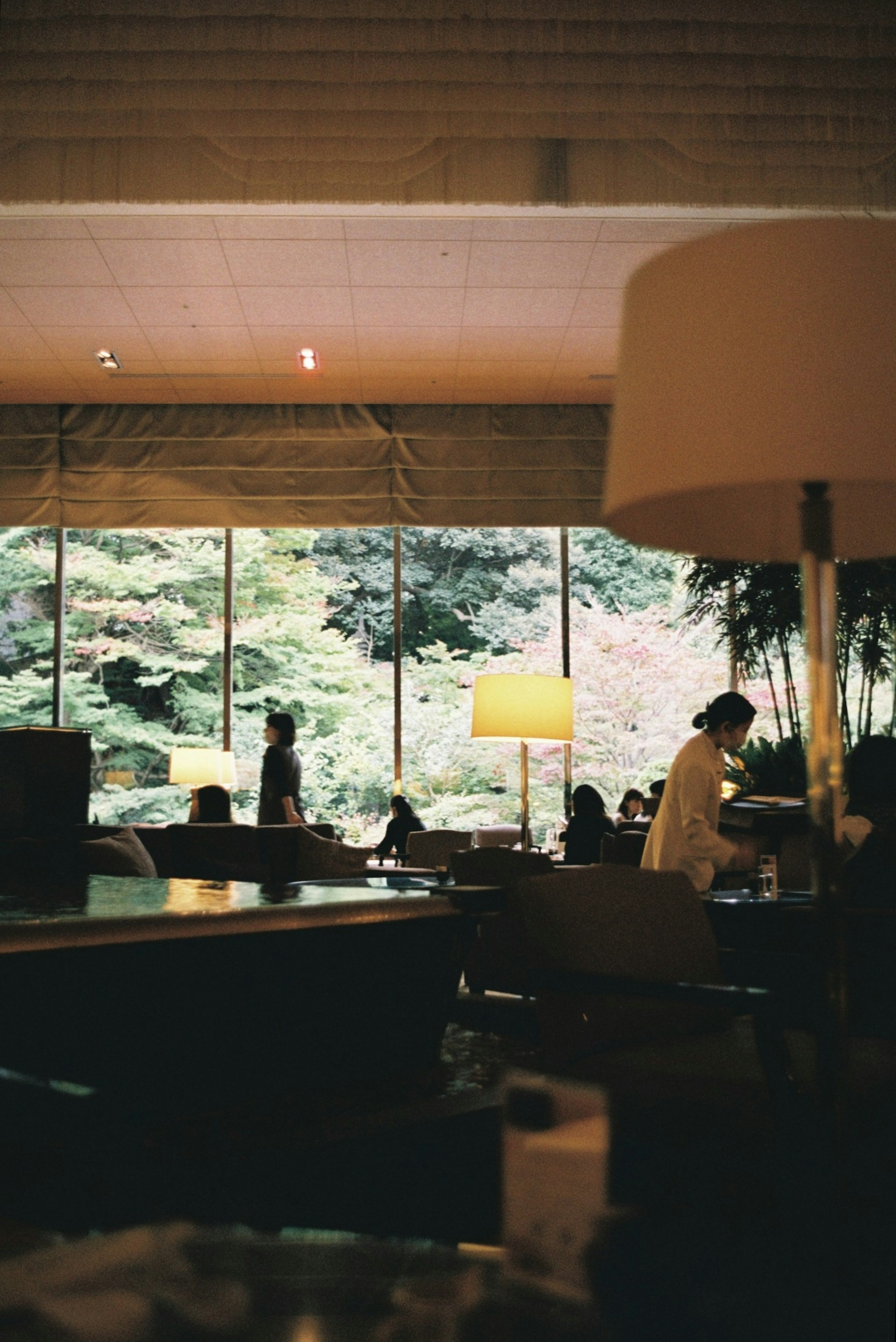 Innenansicht eines ruhigen Cafés mit Blick auf bunte Bäume draußen