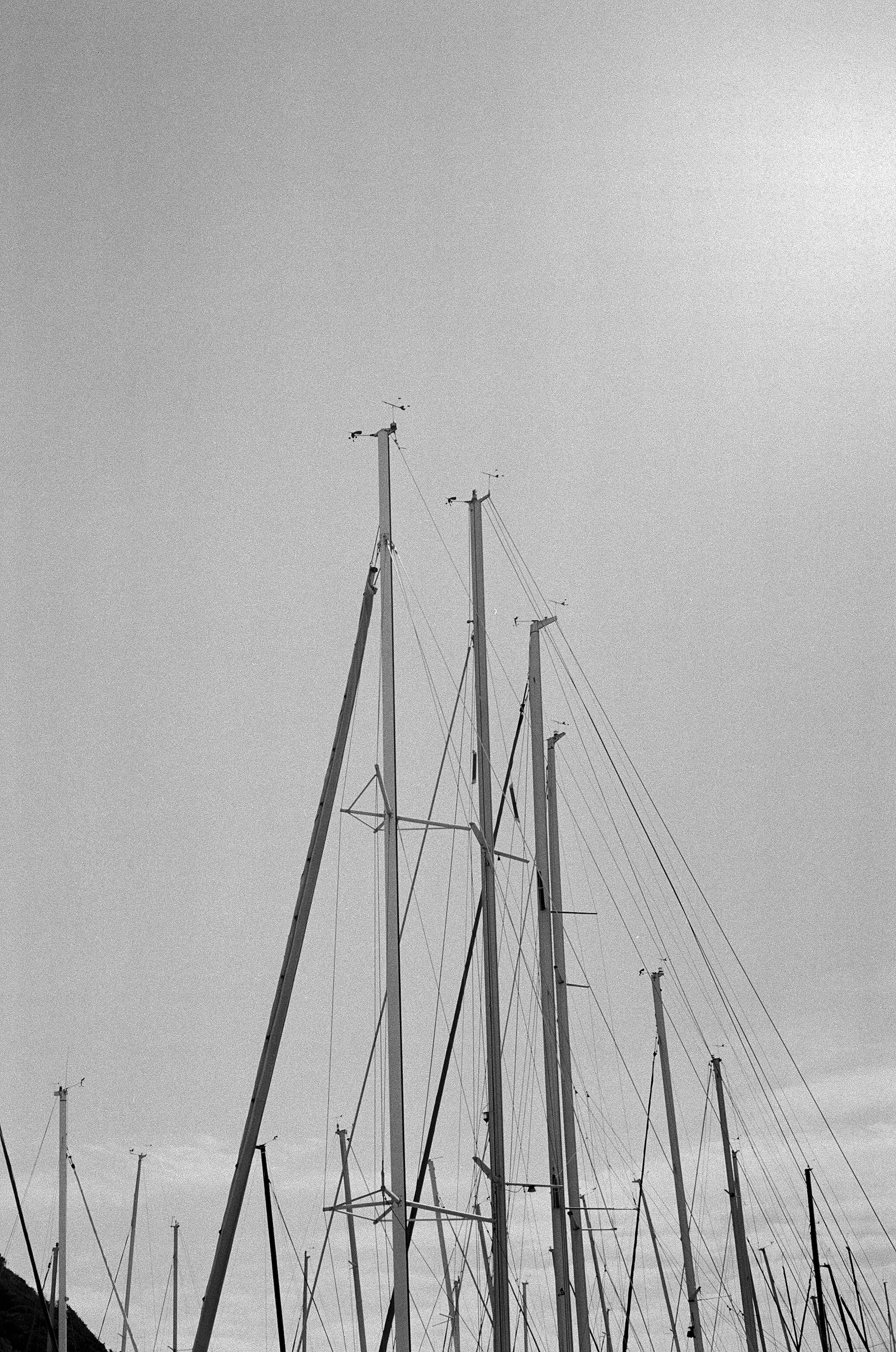 Black and white image of yacht masts reaching towards the sky