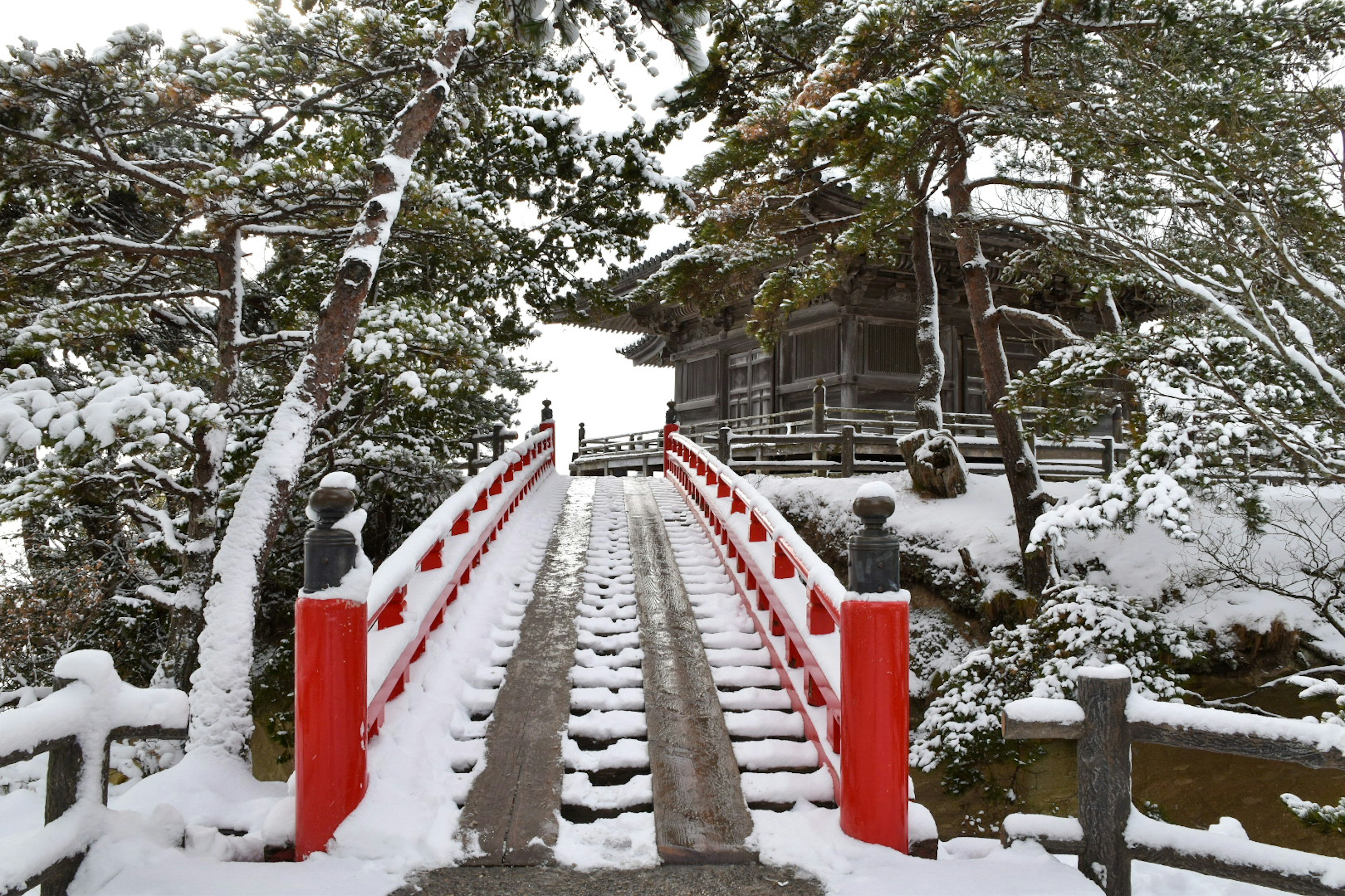 雪に覆われた赤い橋と木々の景色が広がる静かな寺院