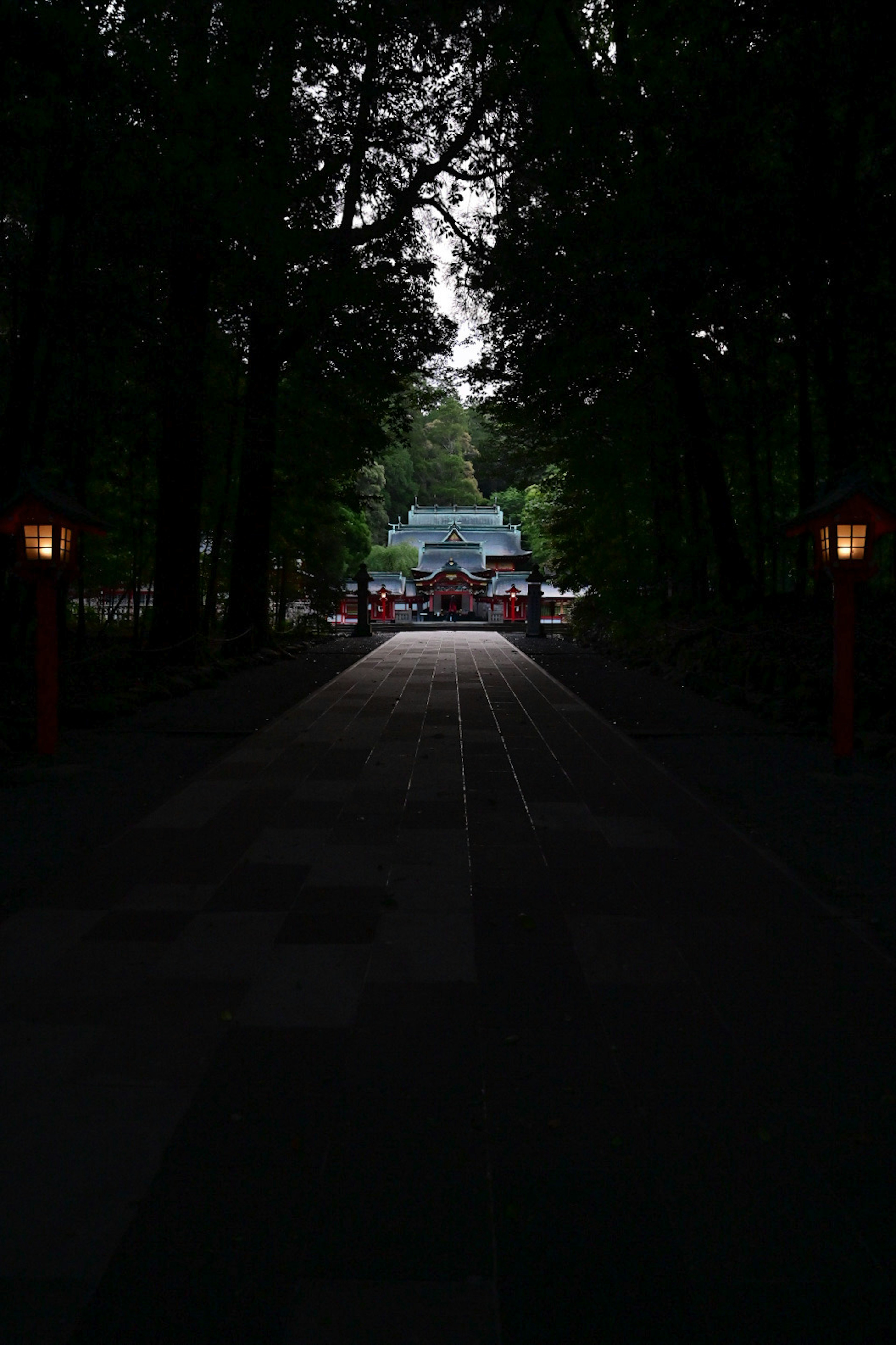 Sentiero debolmente illuminato attraverso una foresta con una silhouette di edificio in fondo