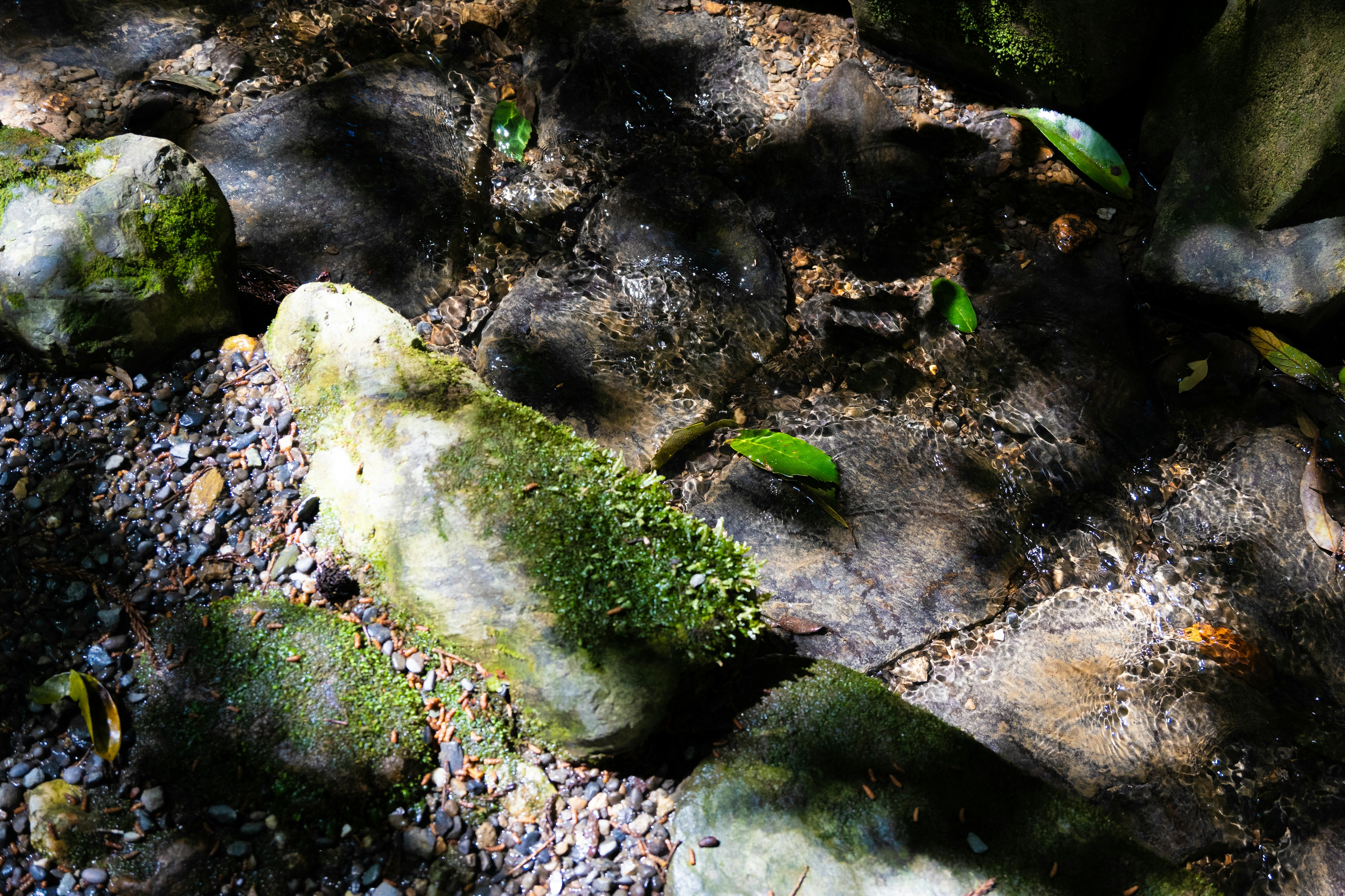 Rochers couverts de mousse verte sur un sol gravillonneux avec des ombres