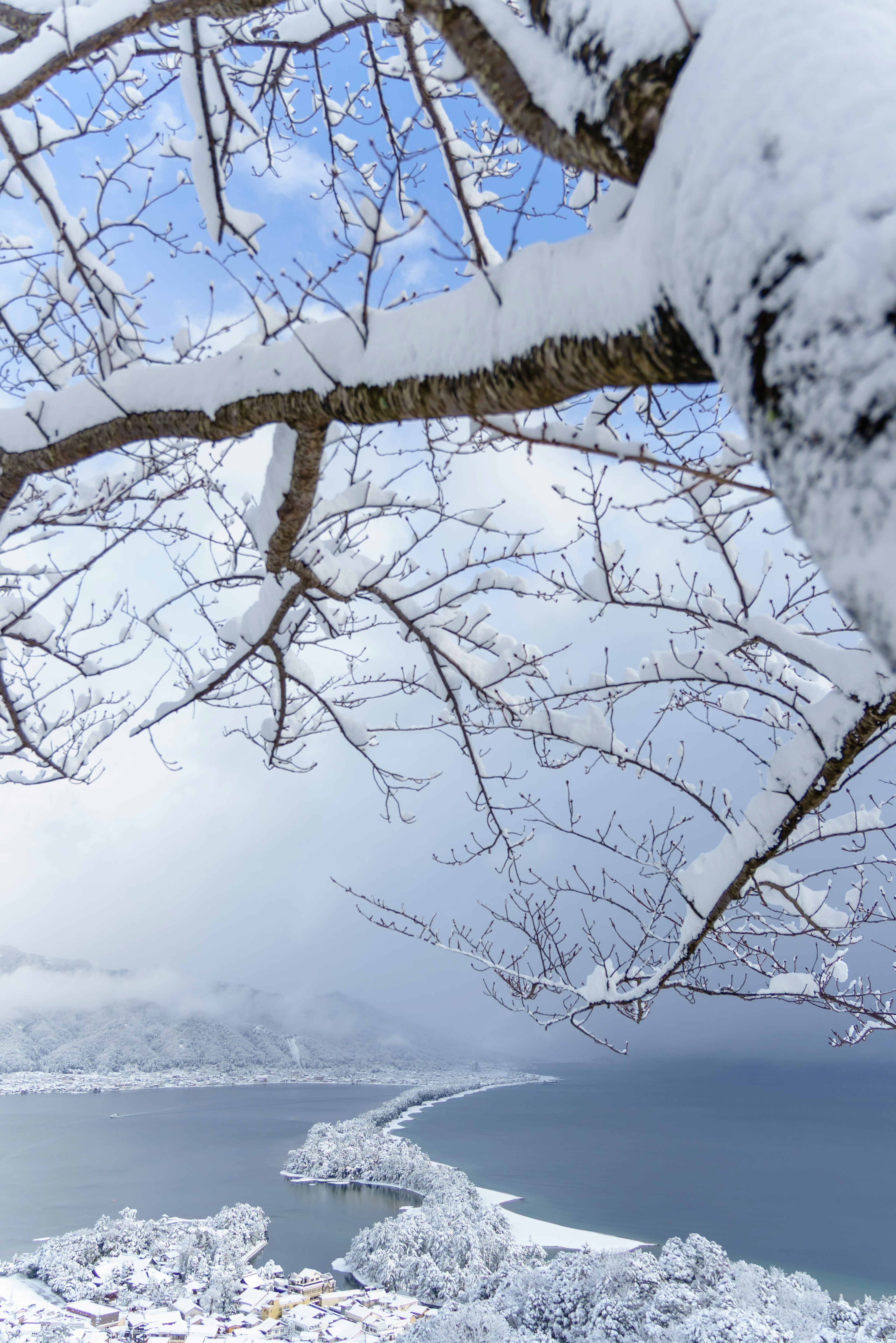 Branche d'arbre couverte de neige avec vue sur un lac et des montagnes