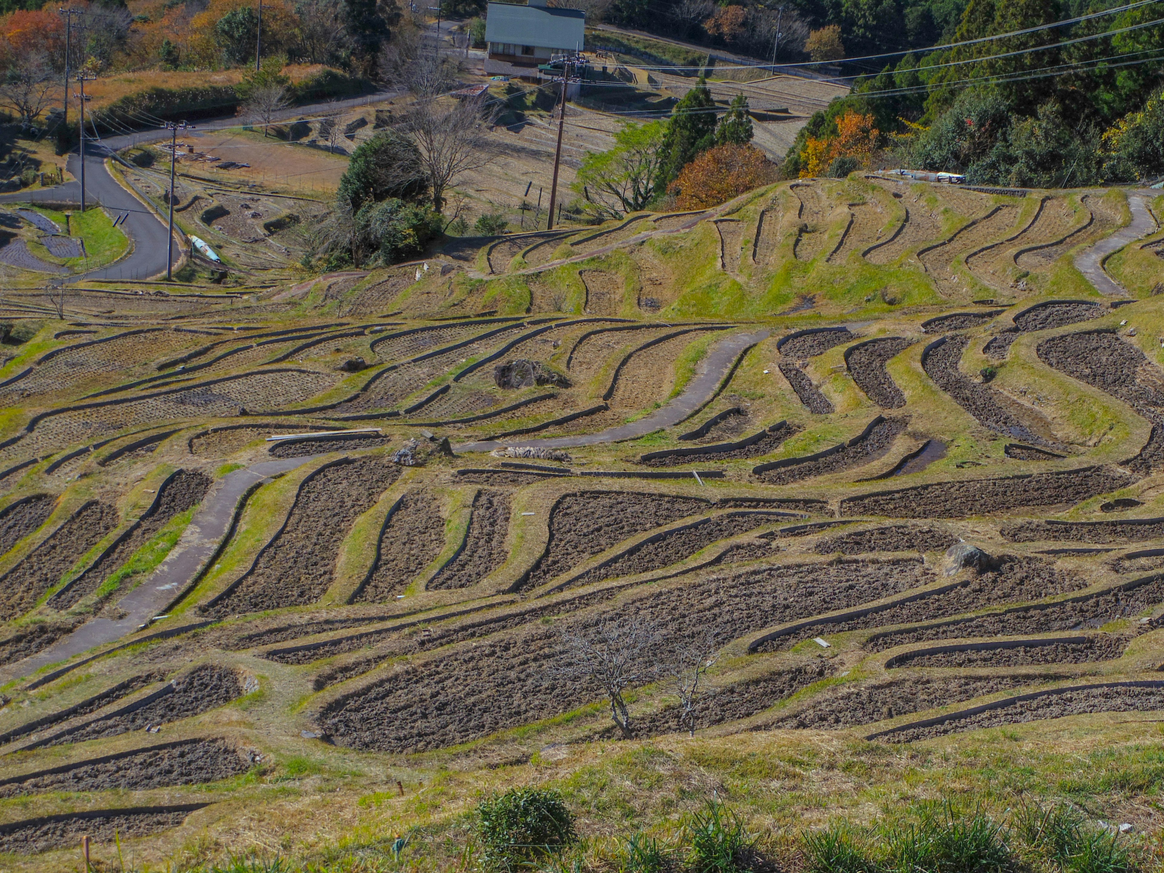 Beautiful terraced rice fields with autumn colors