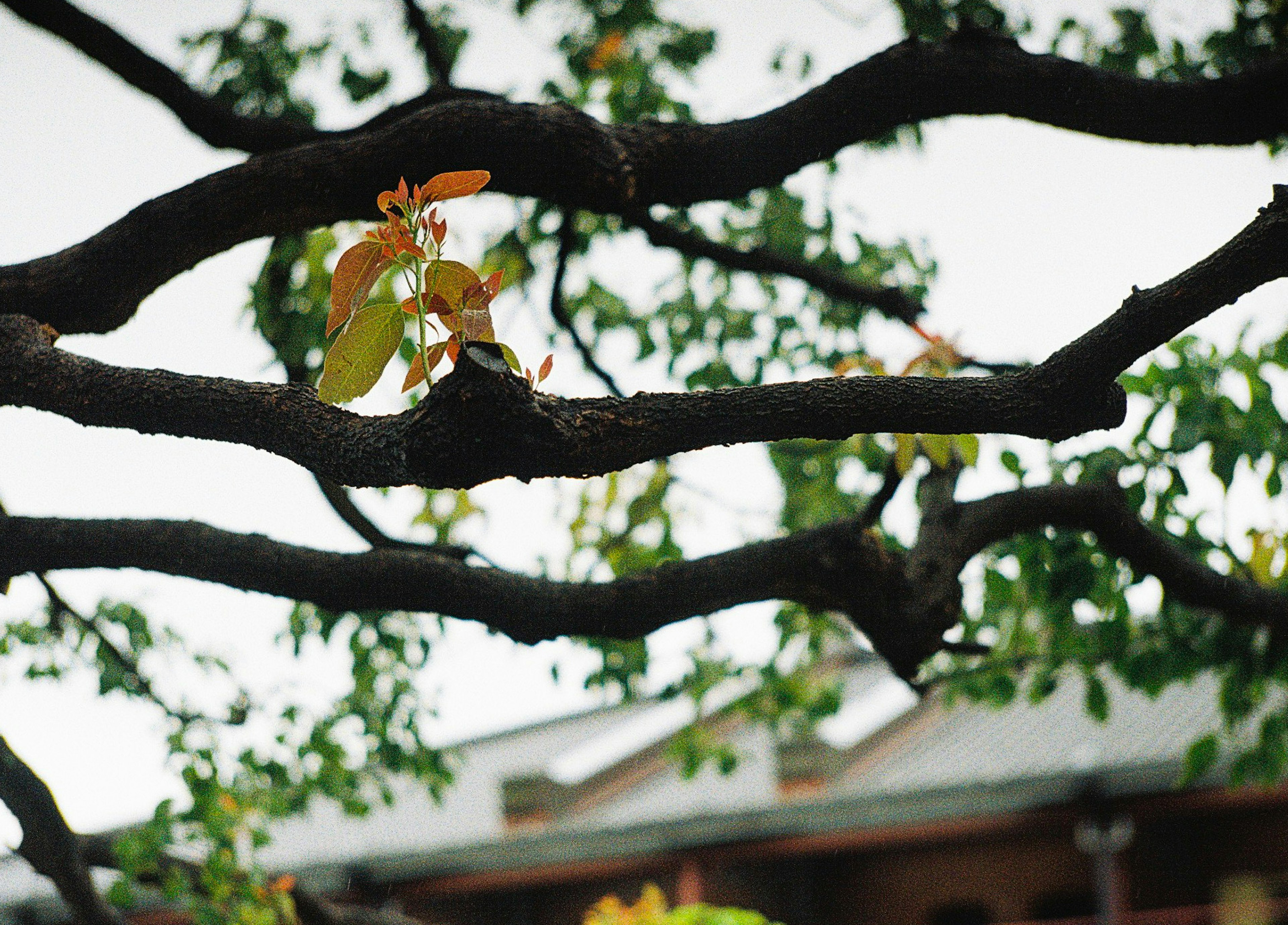 photo-3jBhkXKAdniXXUVijSYj-image