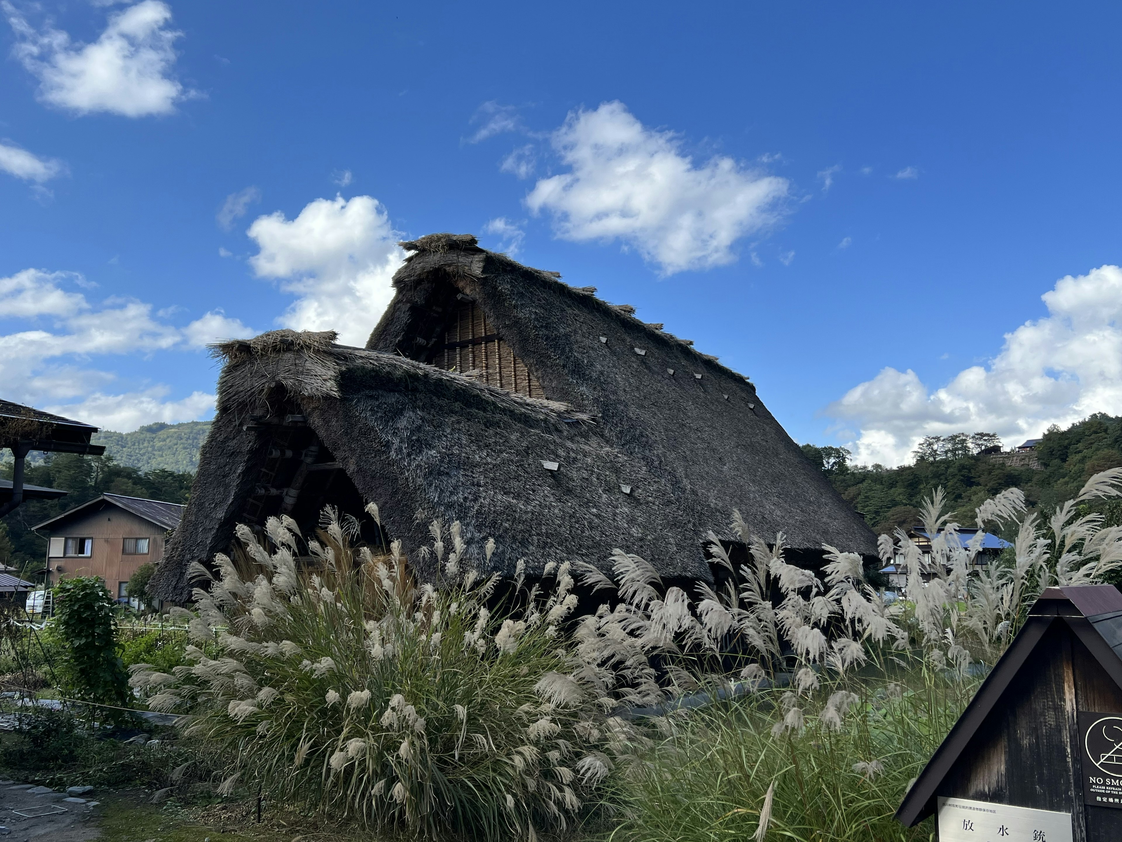 Traditional thatched roof house against a blue sky with white clouds