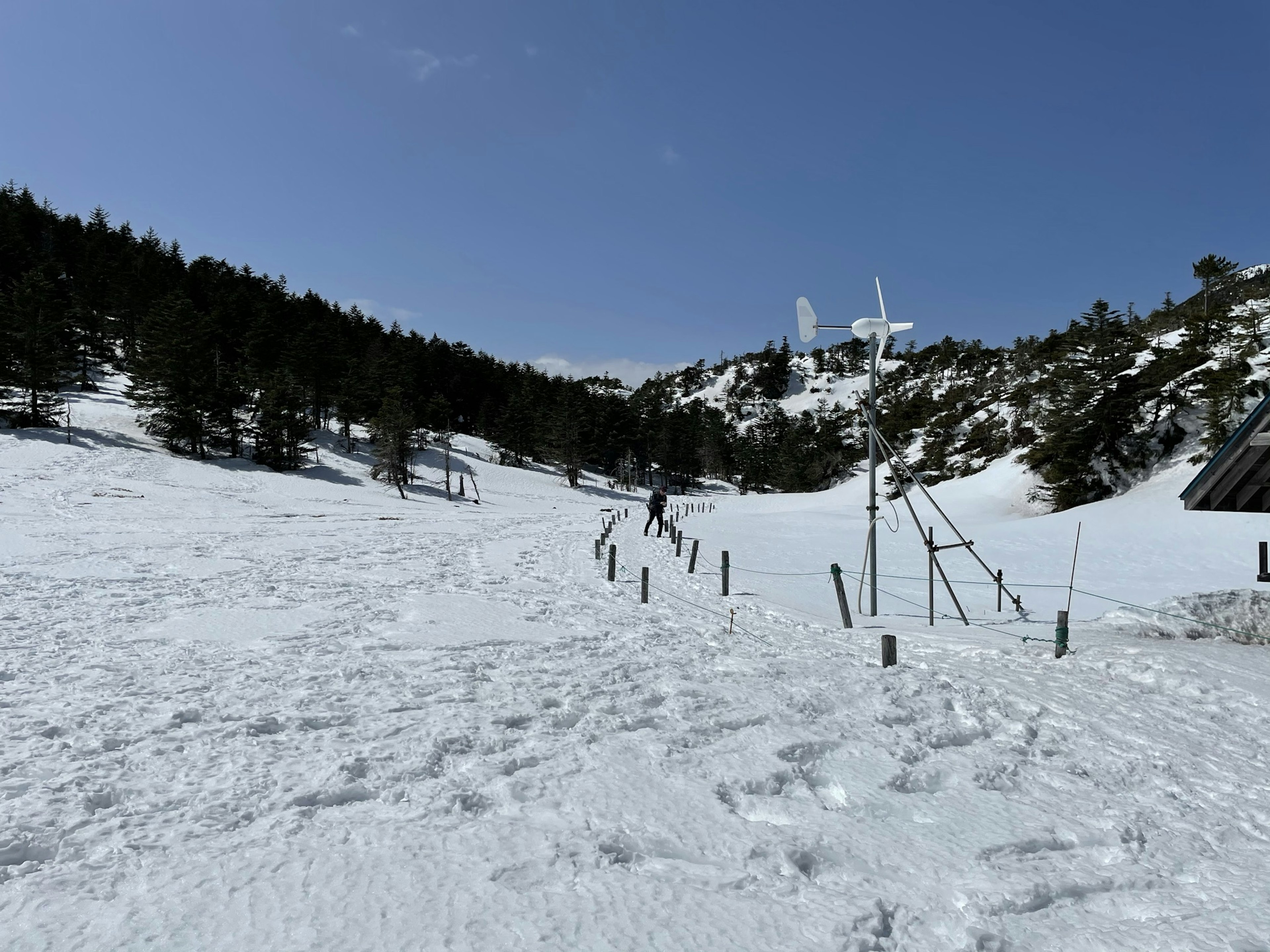 Snow-covered landscape with trees and a clear blue sky