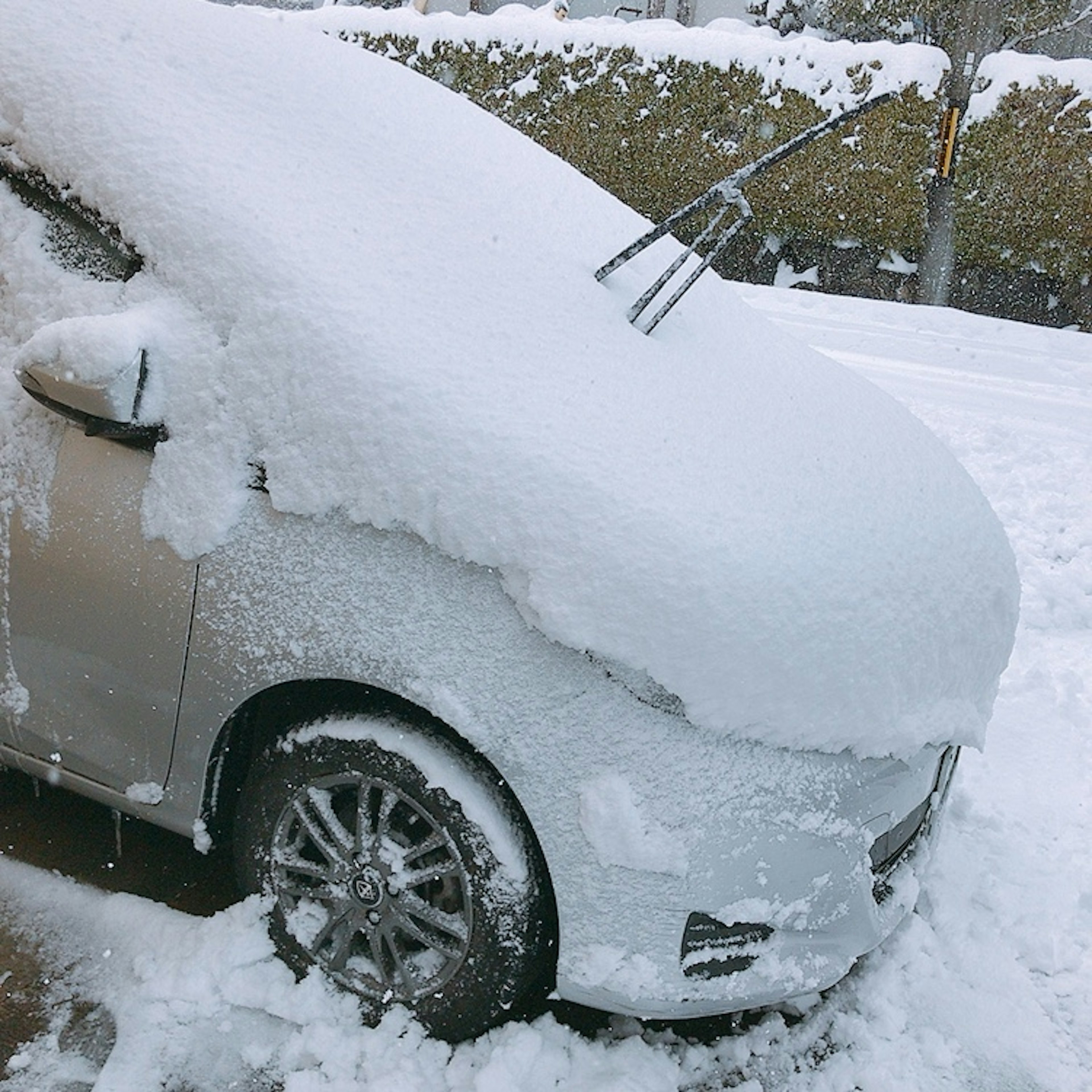 雪に覆われた車のフロント部分と雪かき用の道具