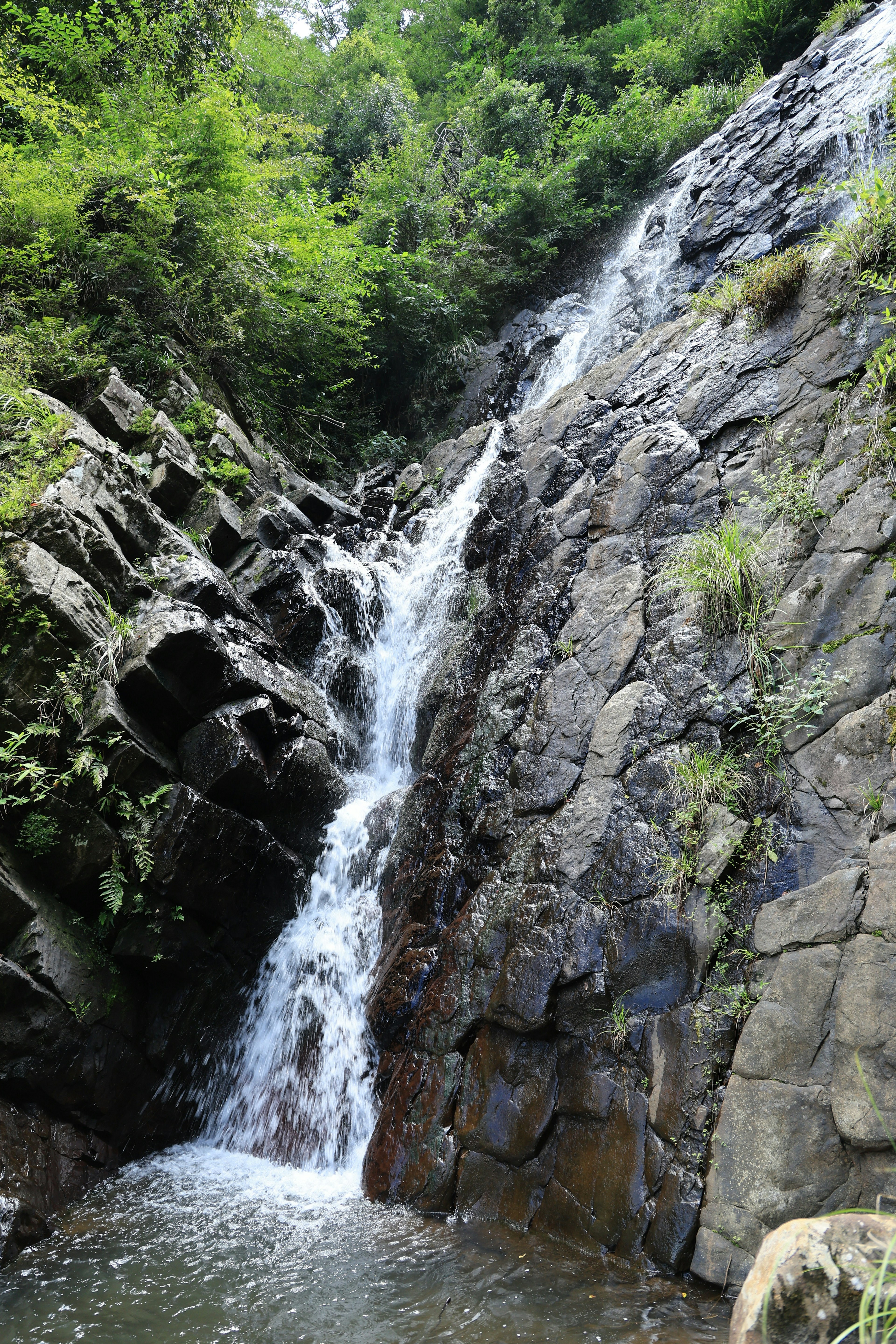 Air terjun yang indah mengalir di atas batu dikelilingi oleh pepohonan yang rimbun