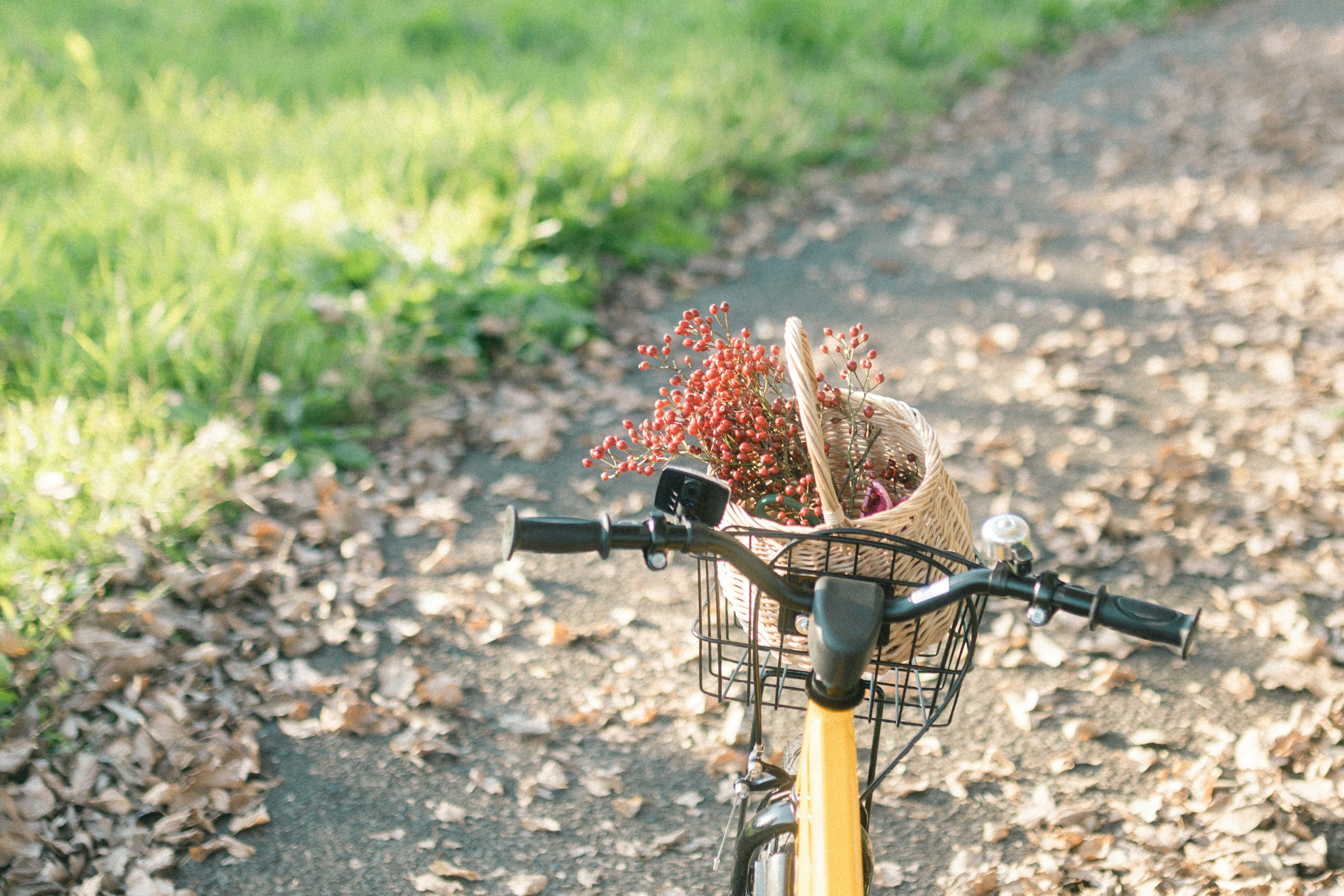 Guidon de vélo avec un panier de fleurs sur un chemin couvert de feuilles