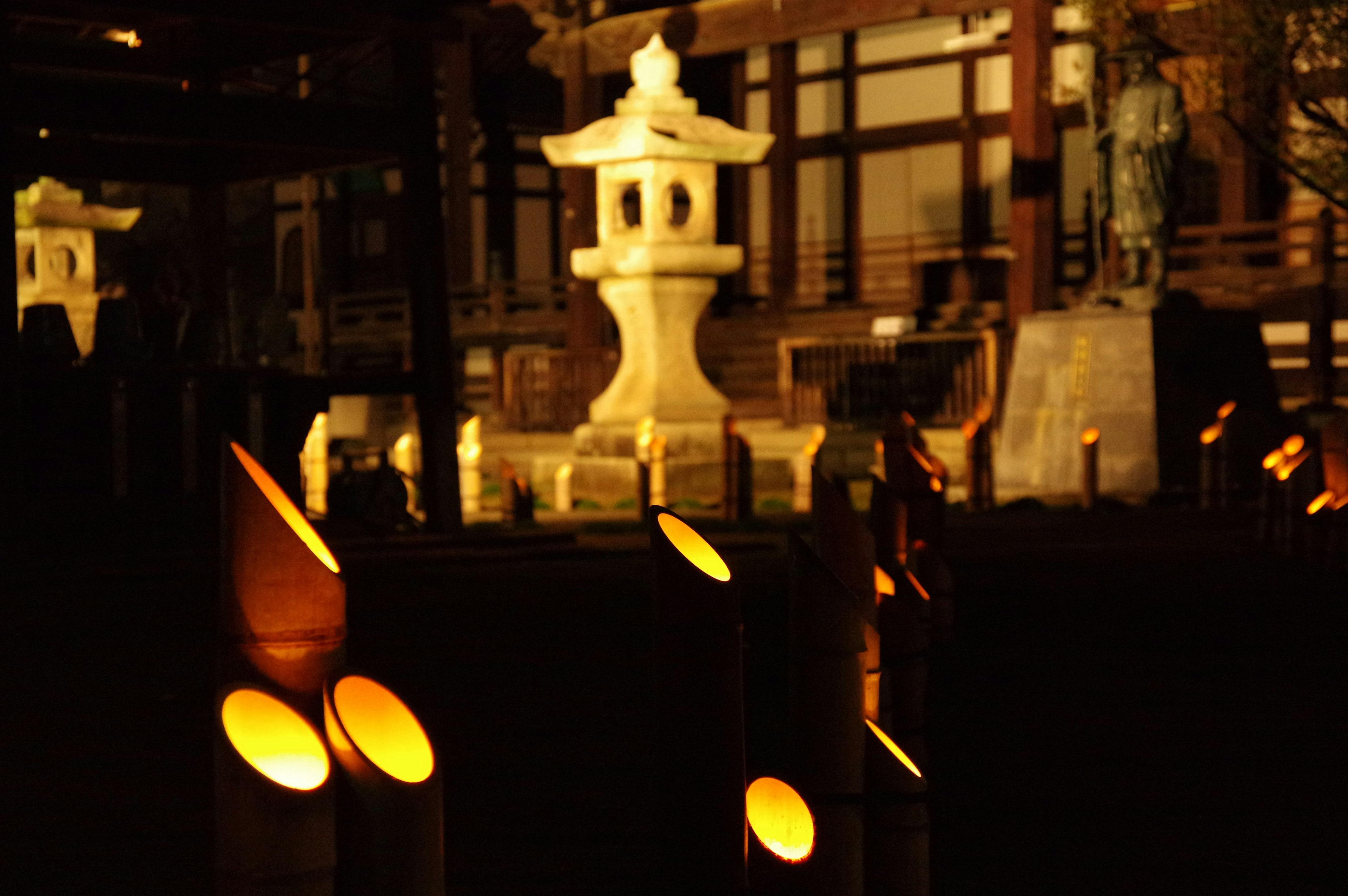 夜の灯篭と石の灯篭が並ぶ風景