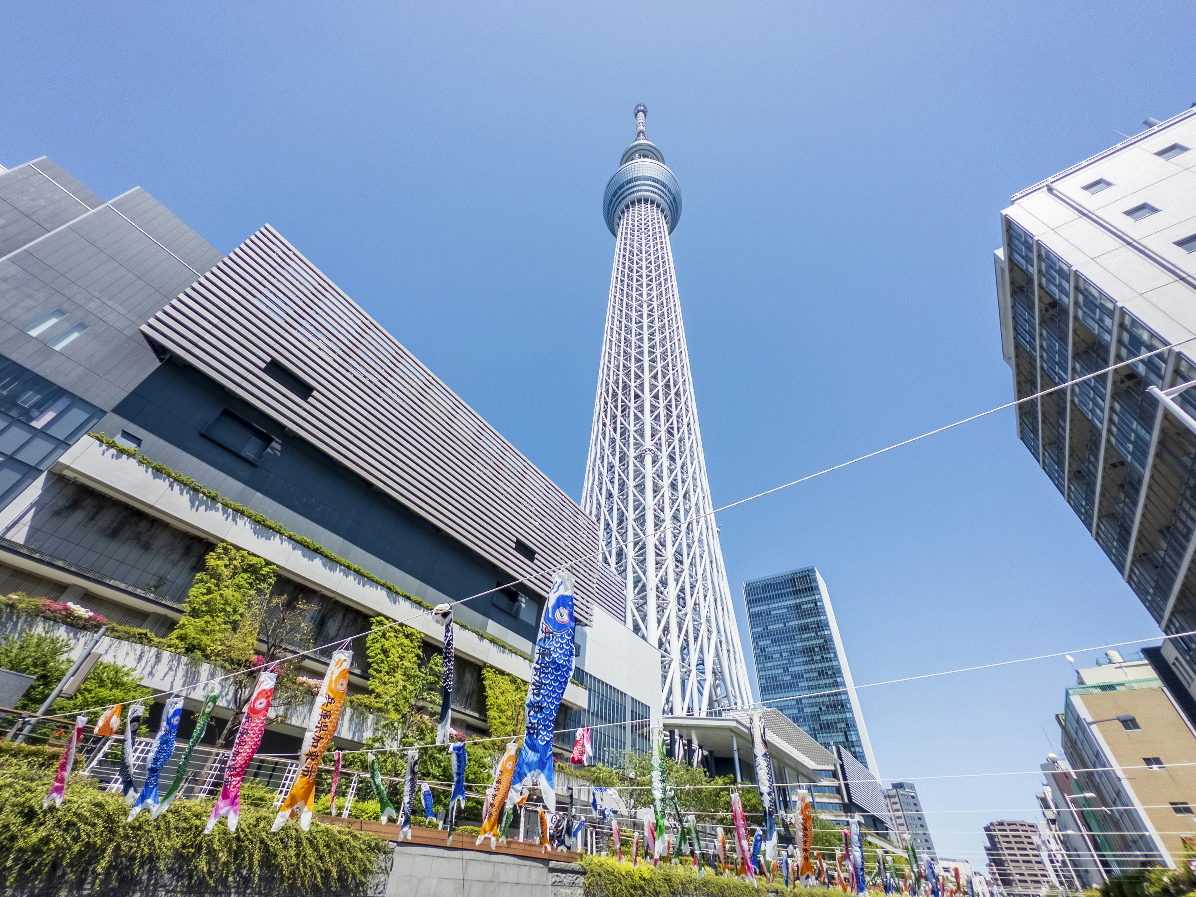 东京天空树高耸于现代建筑之上，背景是晴朗的蓝天