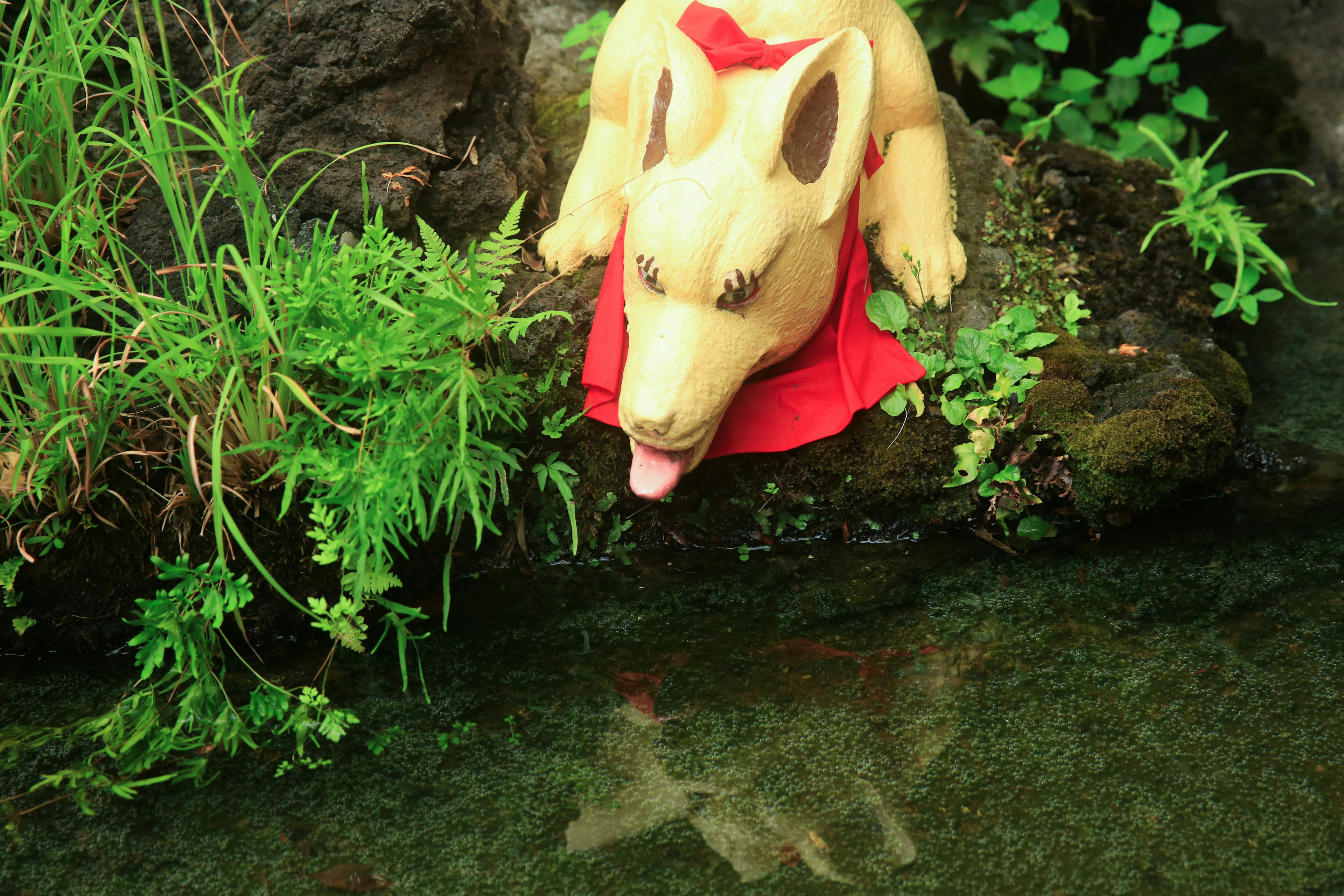 Une statue de chien portant un tissu rouge au bord de l'eau