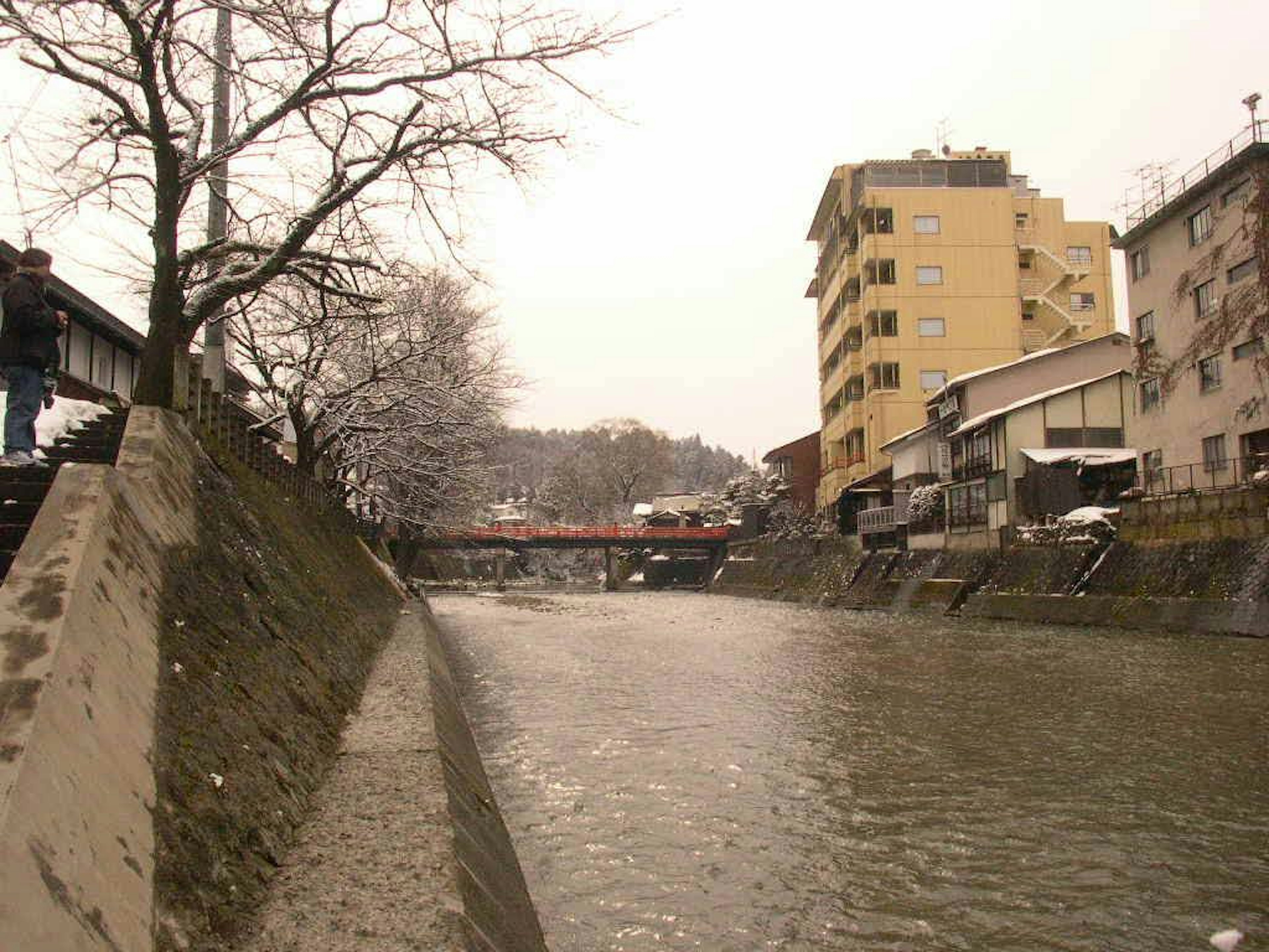 Escena tranquila a la orilla del río con cerezos