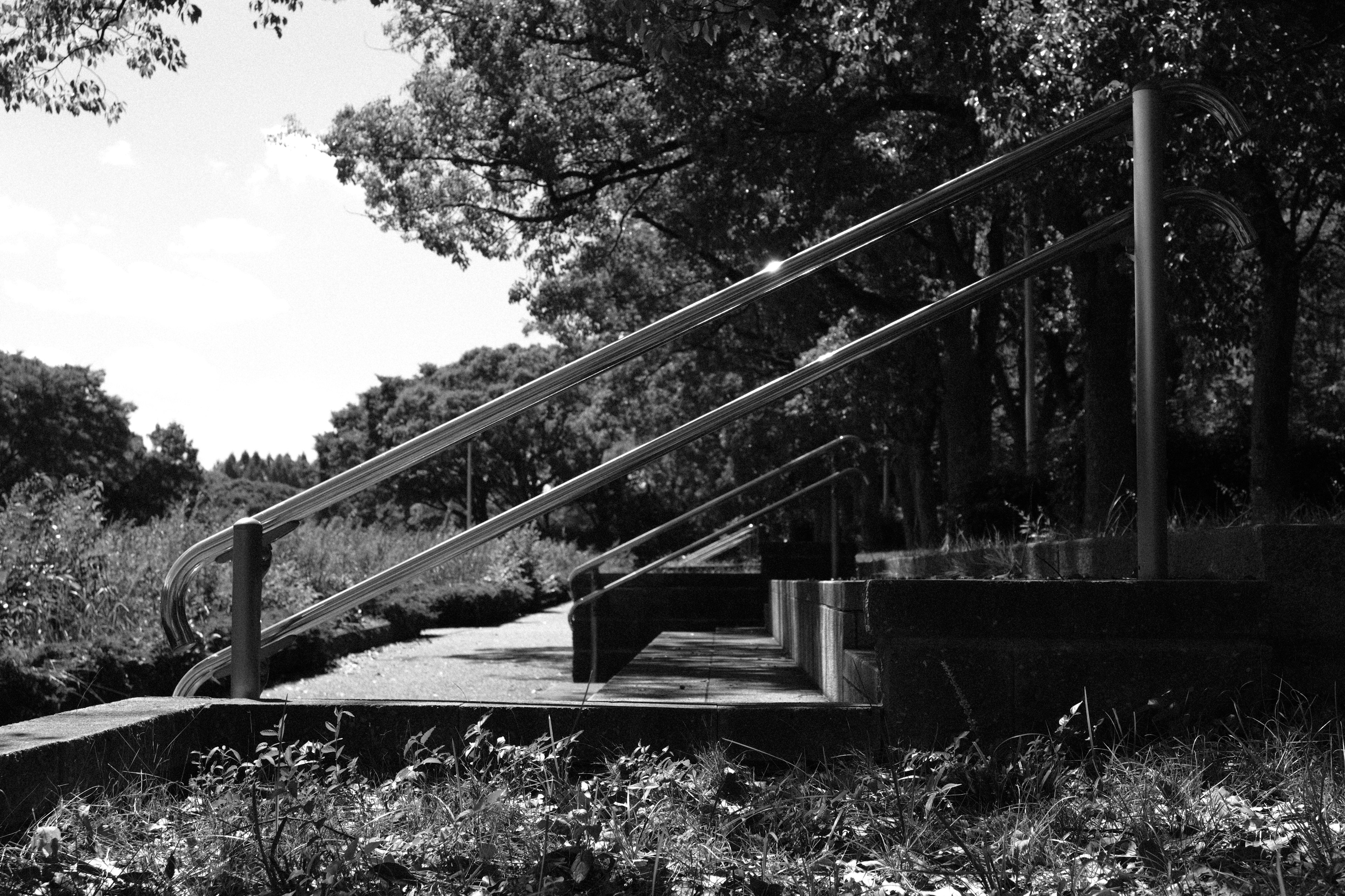 階段と手すりがある公園の風景 白黒の写真