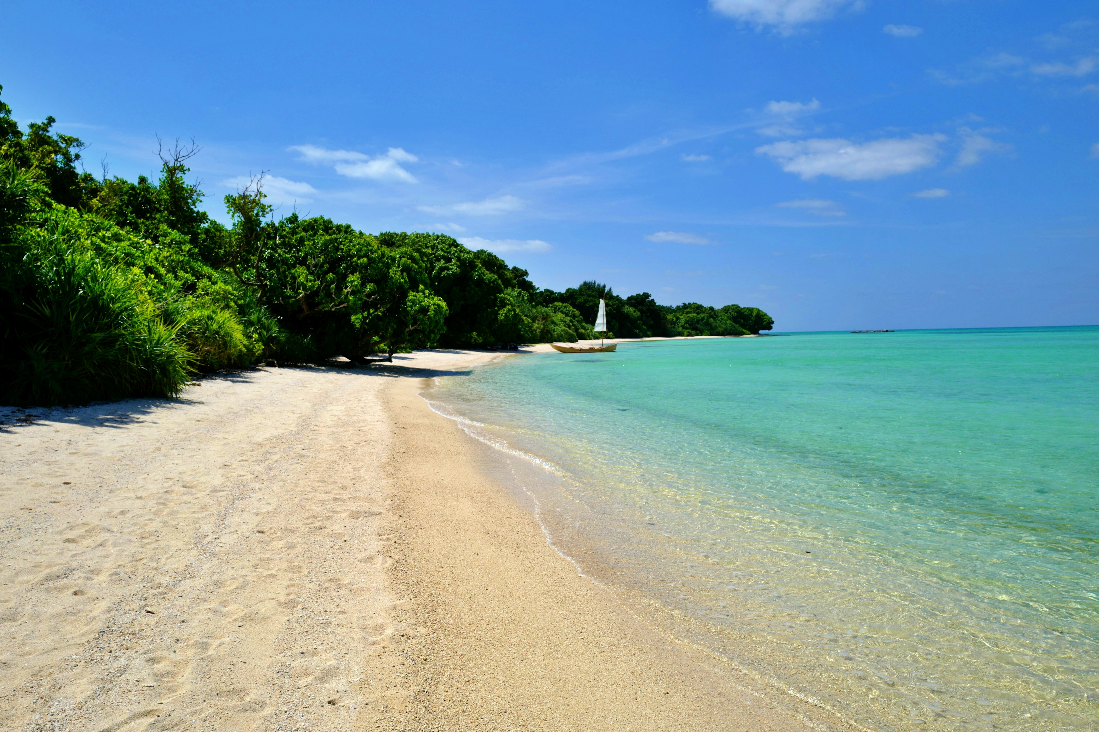 Scenic beach with turquoise water and white sand