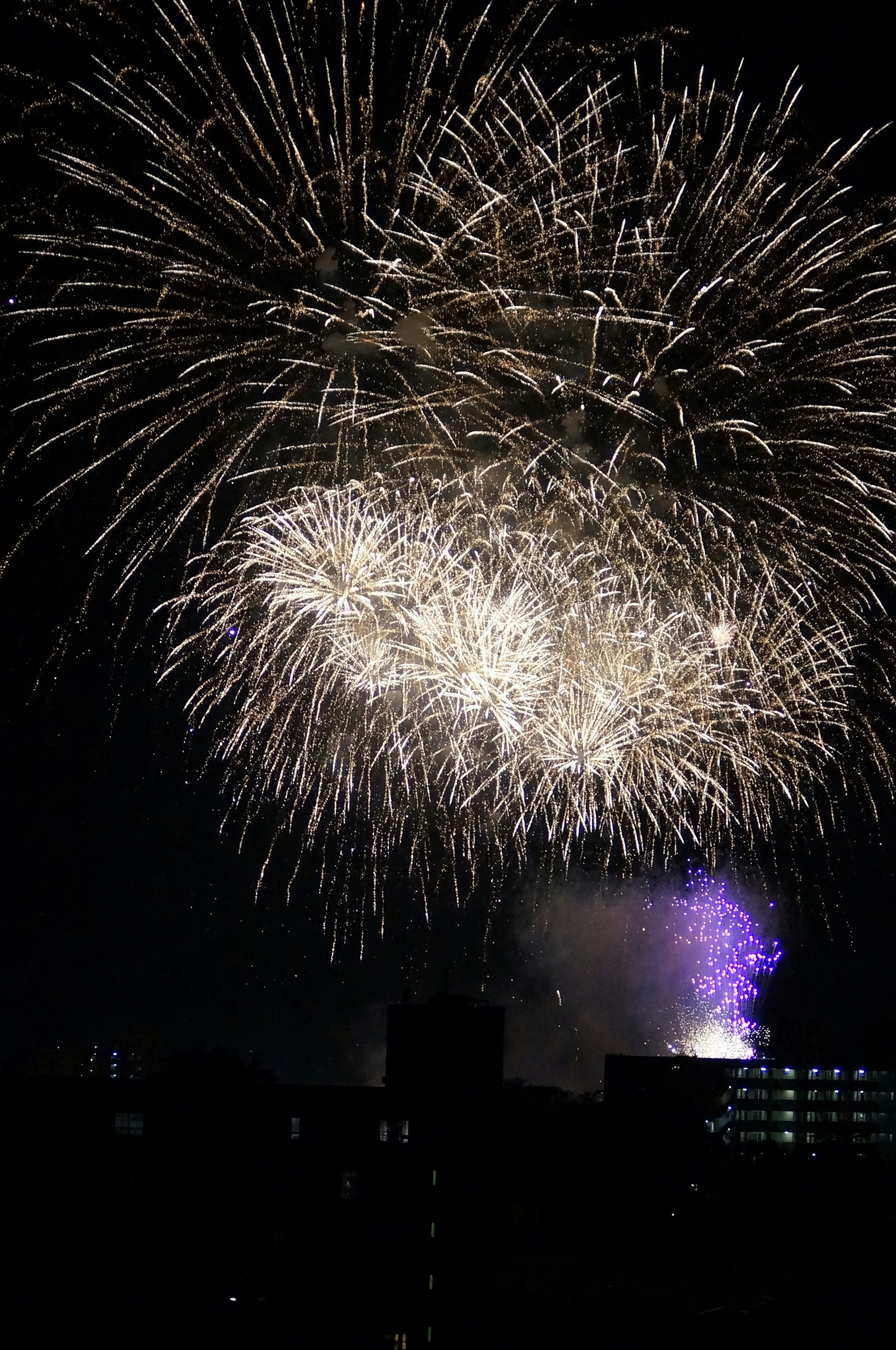 Espectacular exhibición de fuegos artificiales en el cielo nocturno con explosiones blancas y moradas