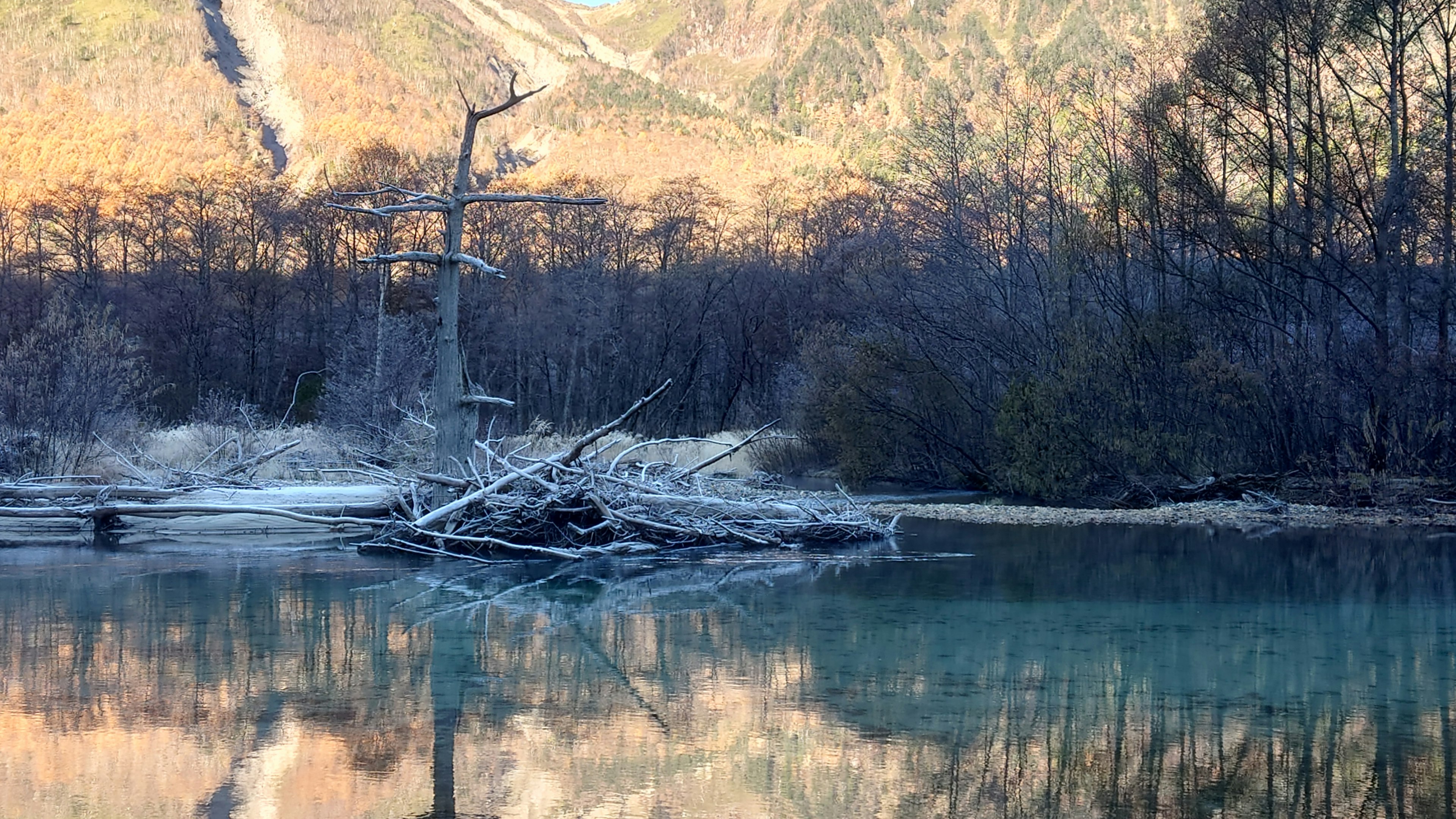 Eau bleue reflétant des branches et un paysage montagneux