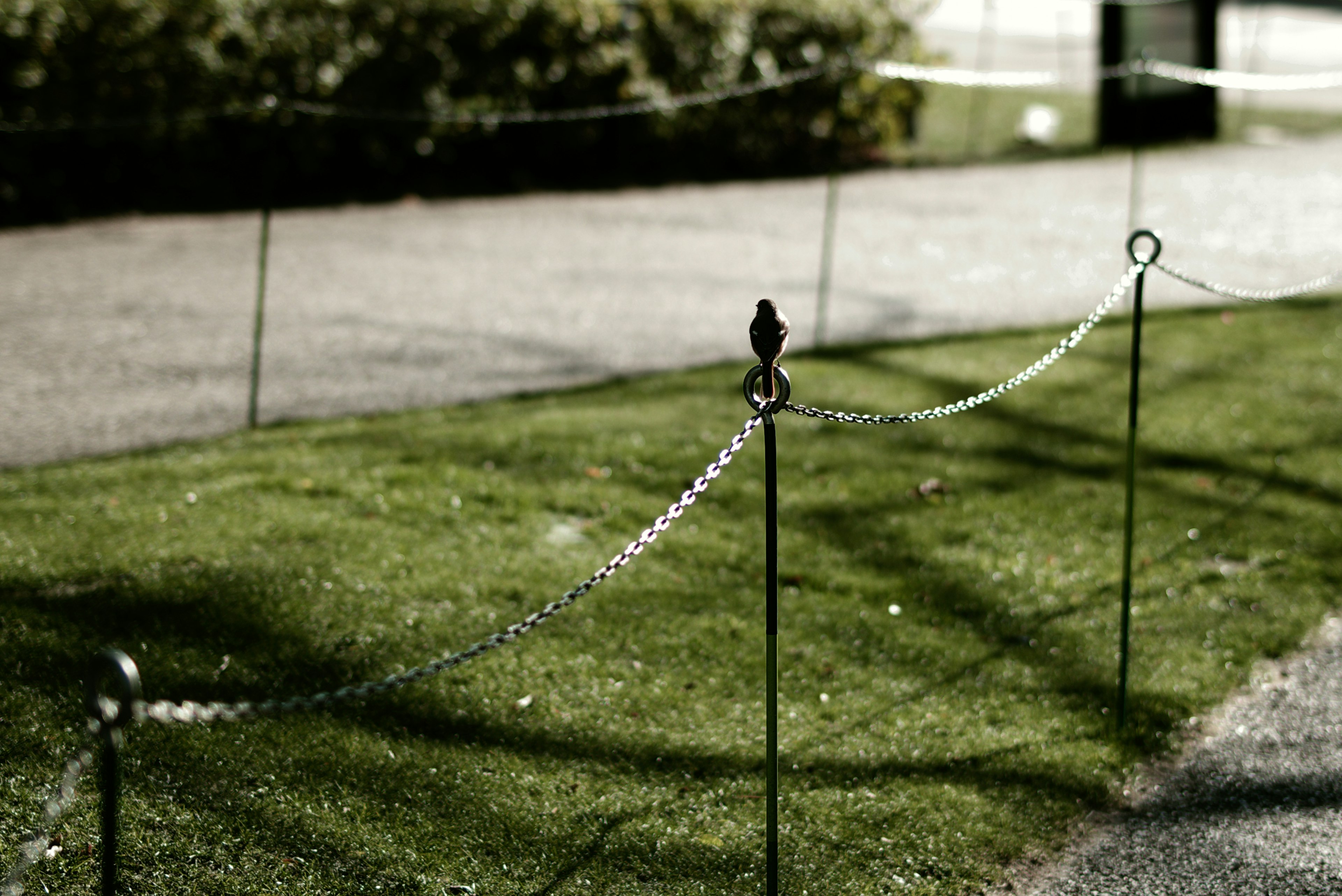 Line of metal posts and rope on green grass