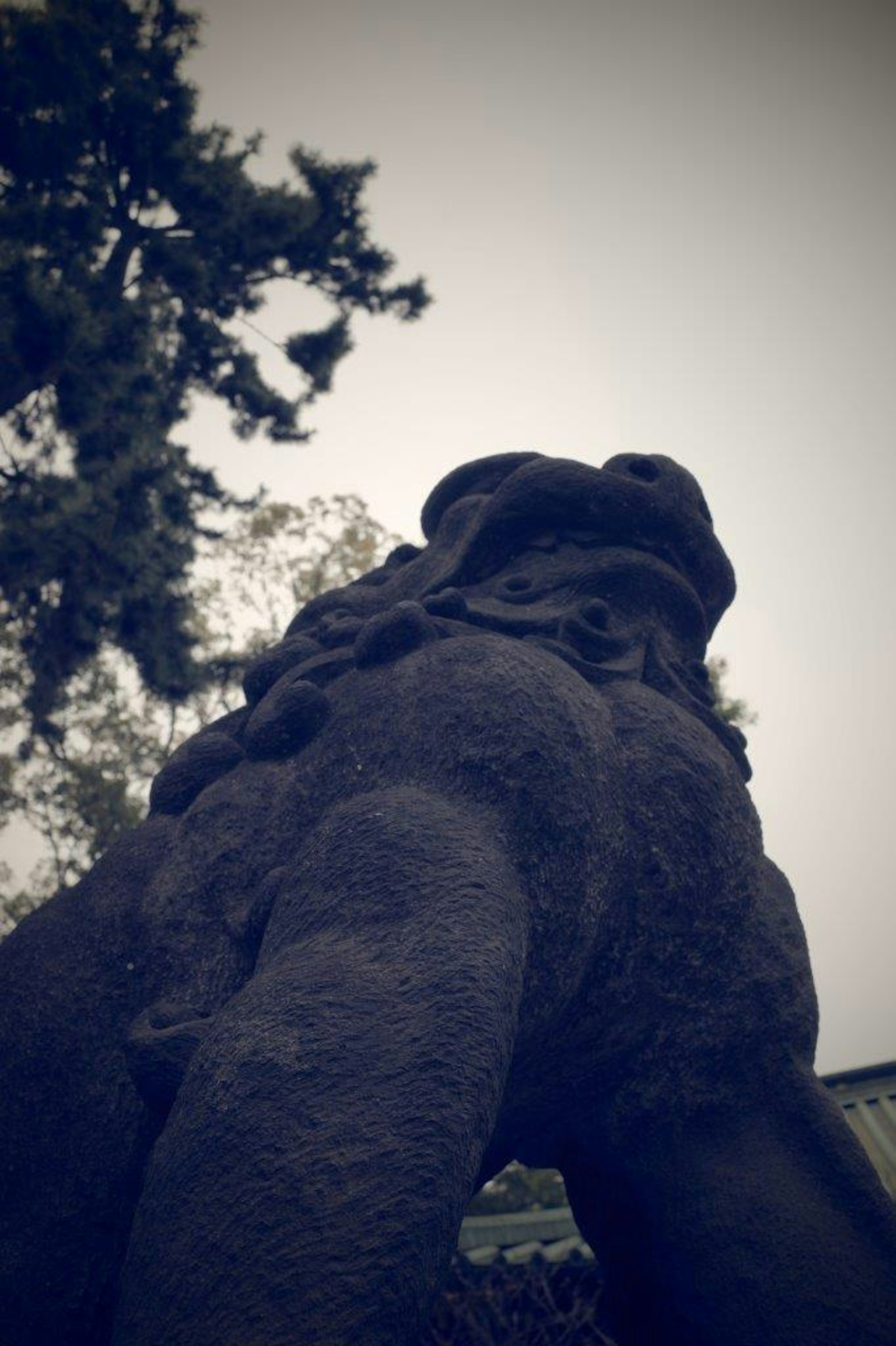 Foto de una estatua de león de piedra negra vista desde abajo