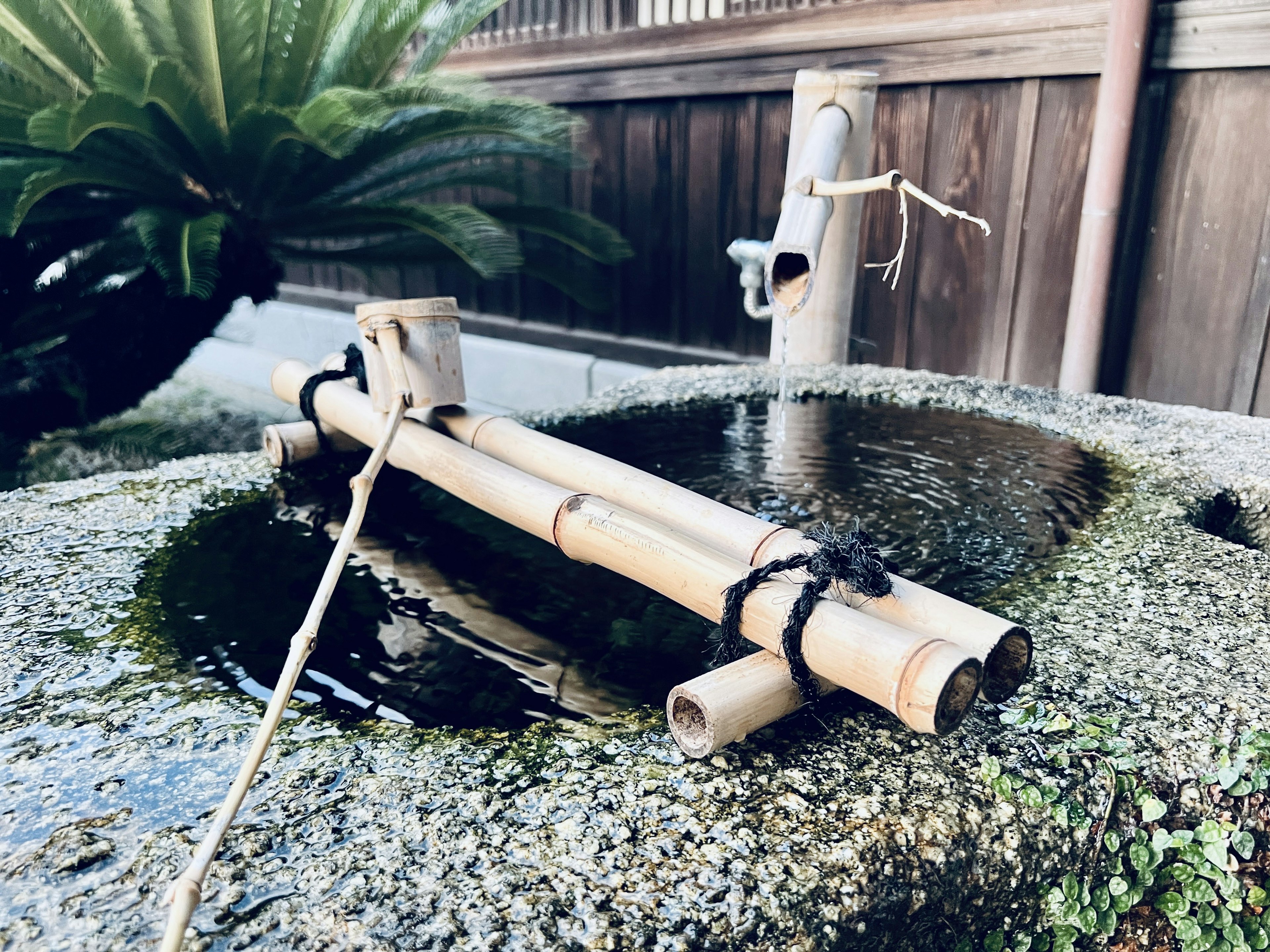 Japanese garden featuring a bamboo water basin and stone pond