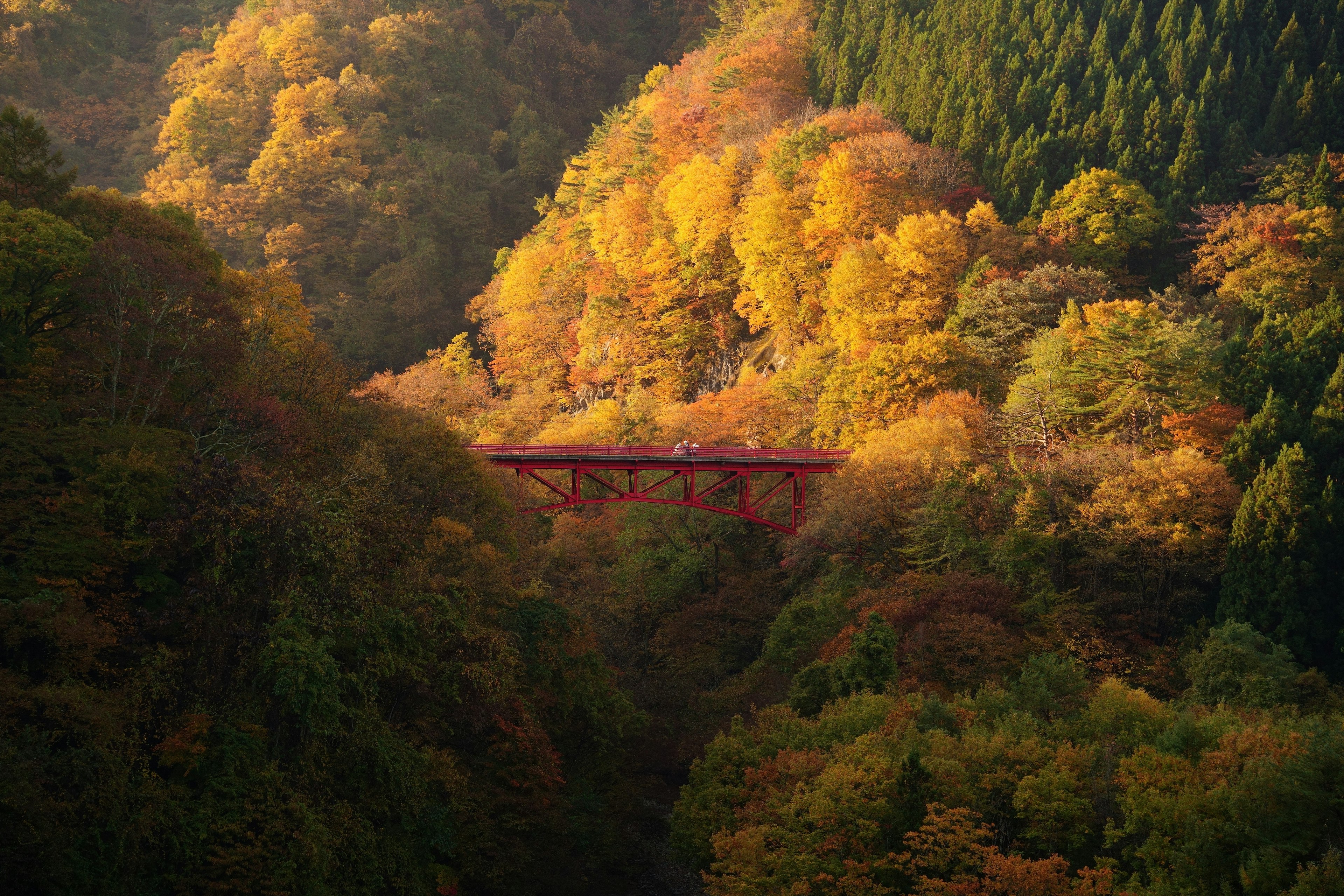 秋の紅葉に囲まれた赤い橋と山々の風景