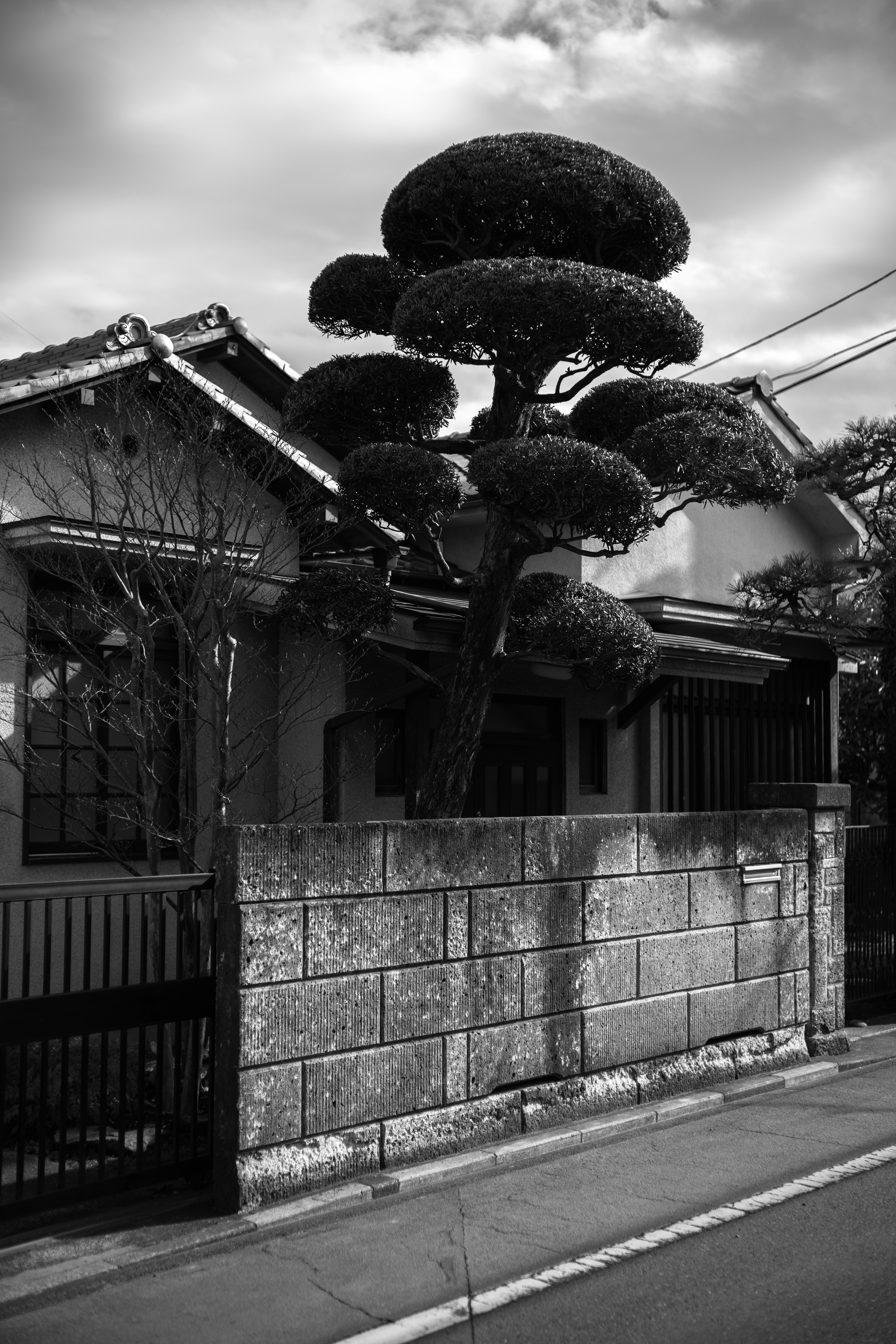 Black and white image of a house with a uniquely shaped tree