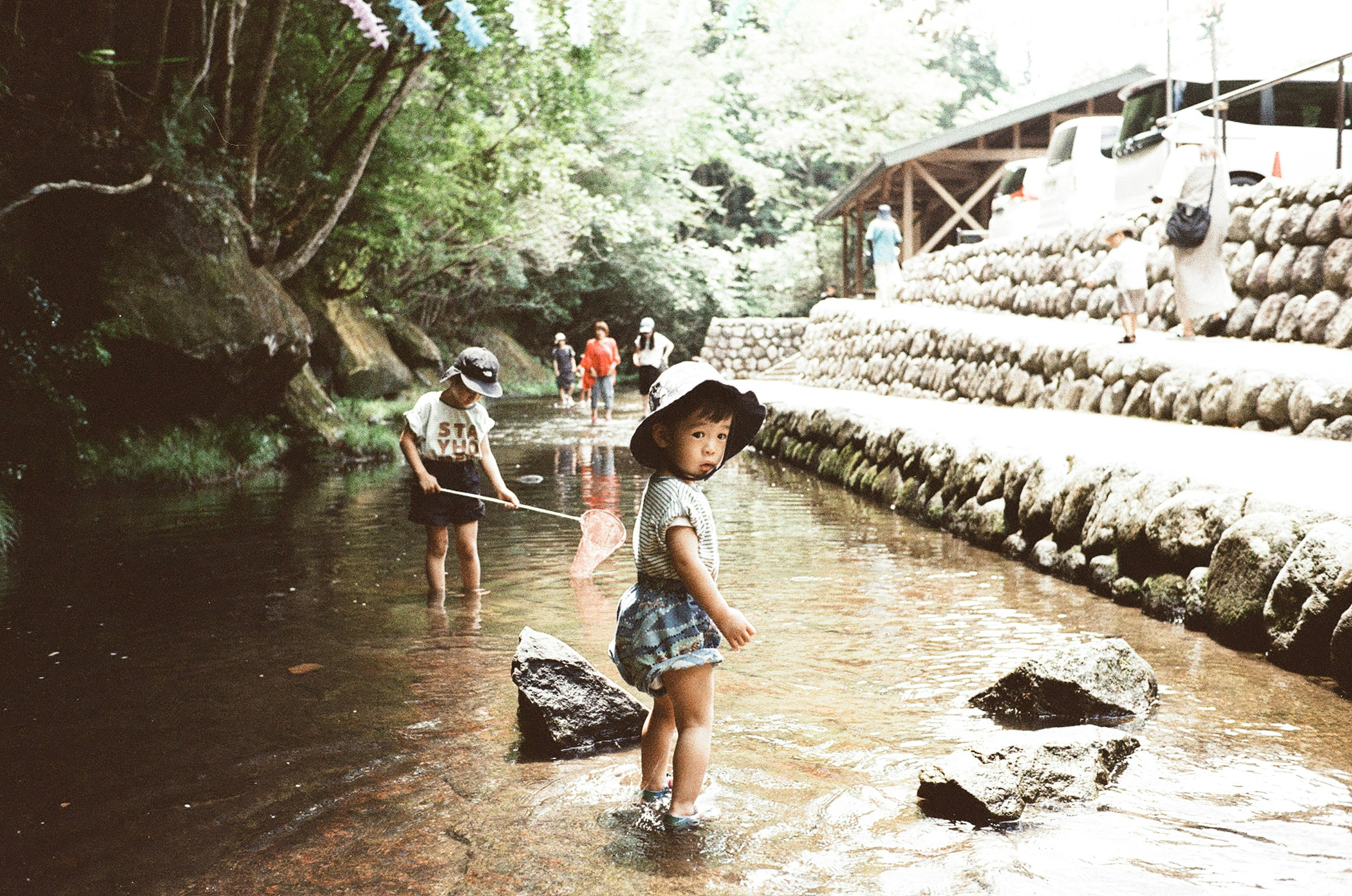 子供たちが川で遊んでいる風景 大きな岩と緑の木々が背景にある