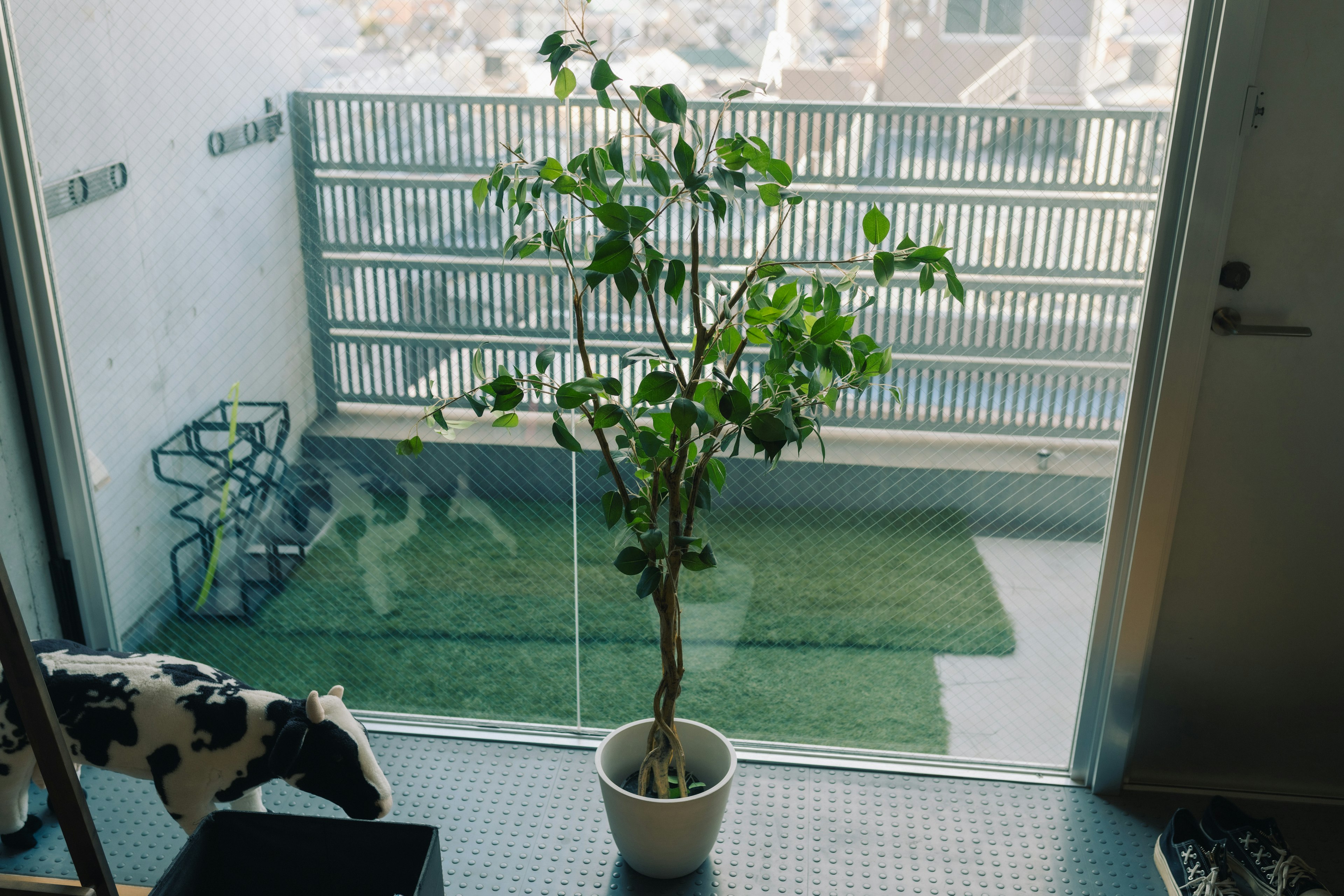 Planta en maceta en un balcón con vista a la ciudad de fondo