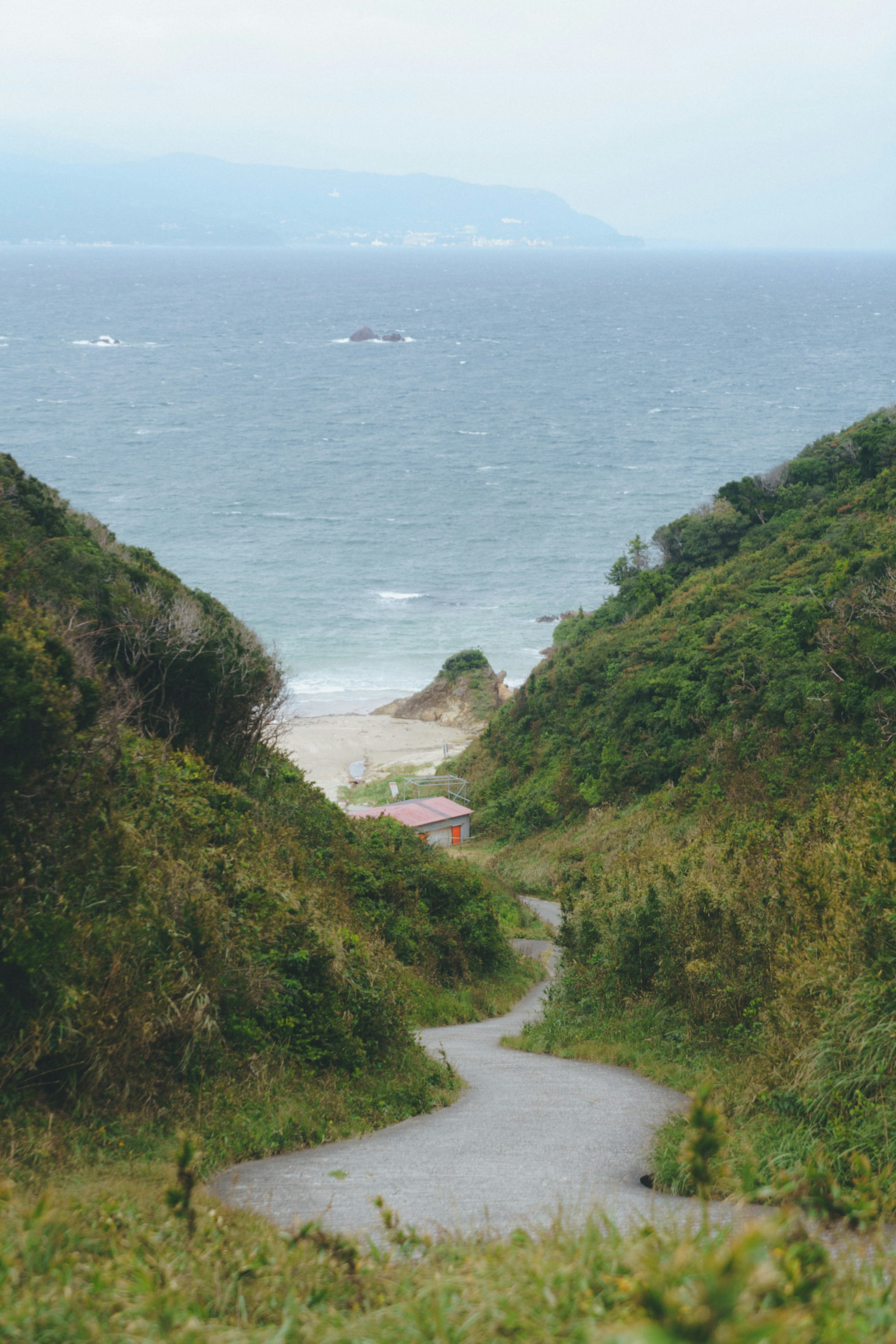 Vista panoramica di colline verdi che conducono all'oceano con un sentiero tortuoso