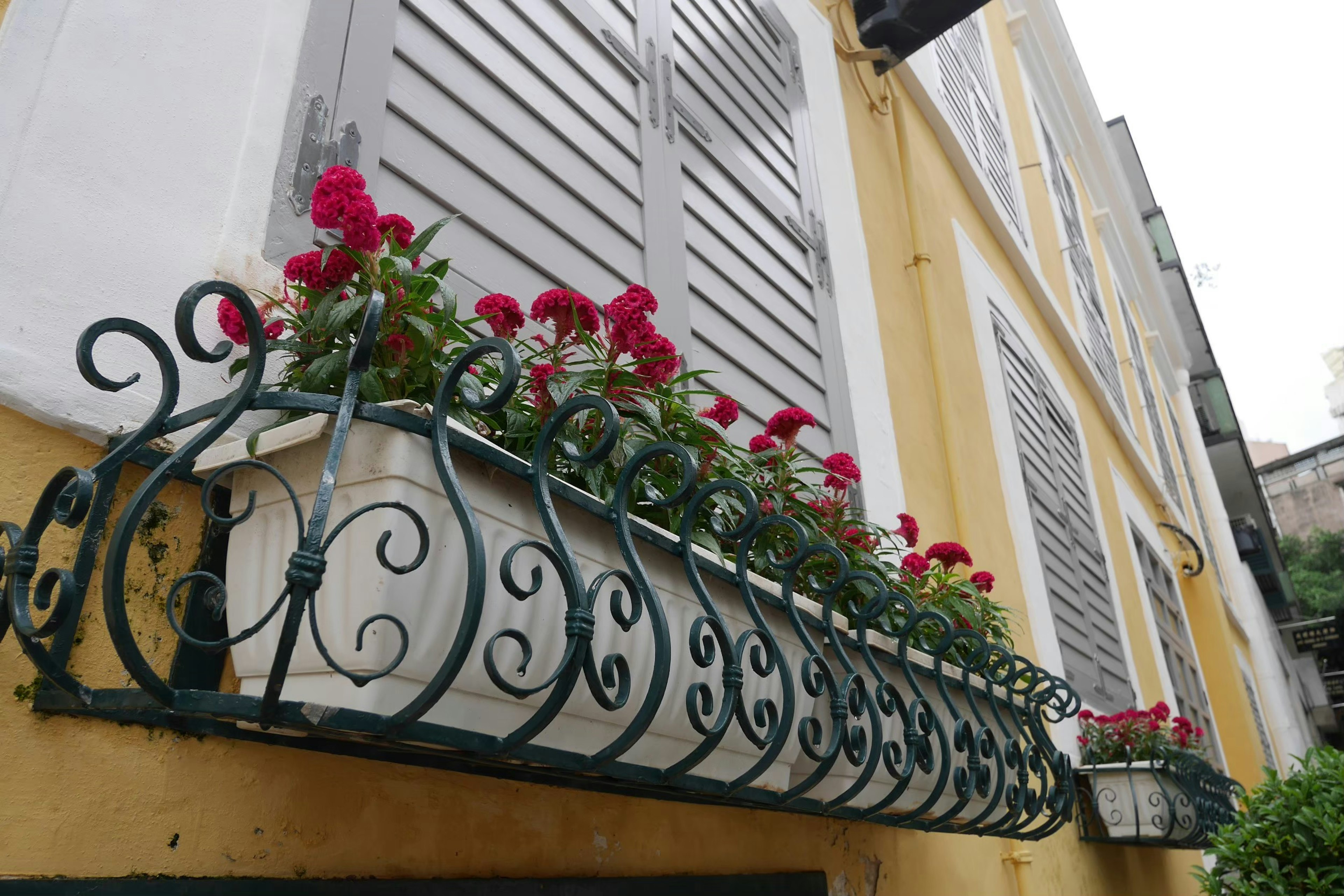 Iron balcony planter with vibrant red flowers and wooden shutters