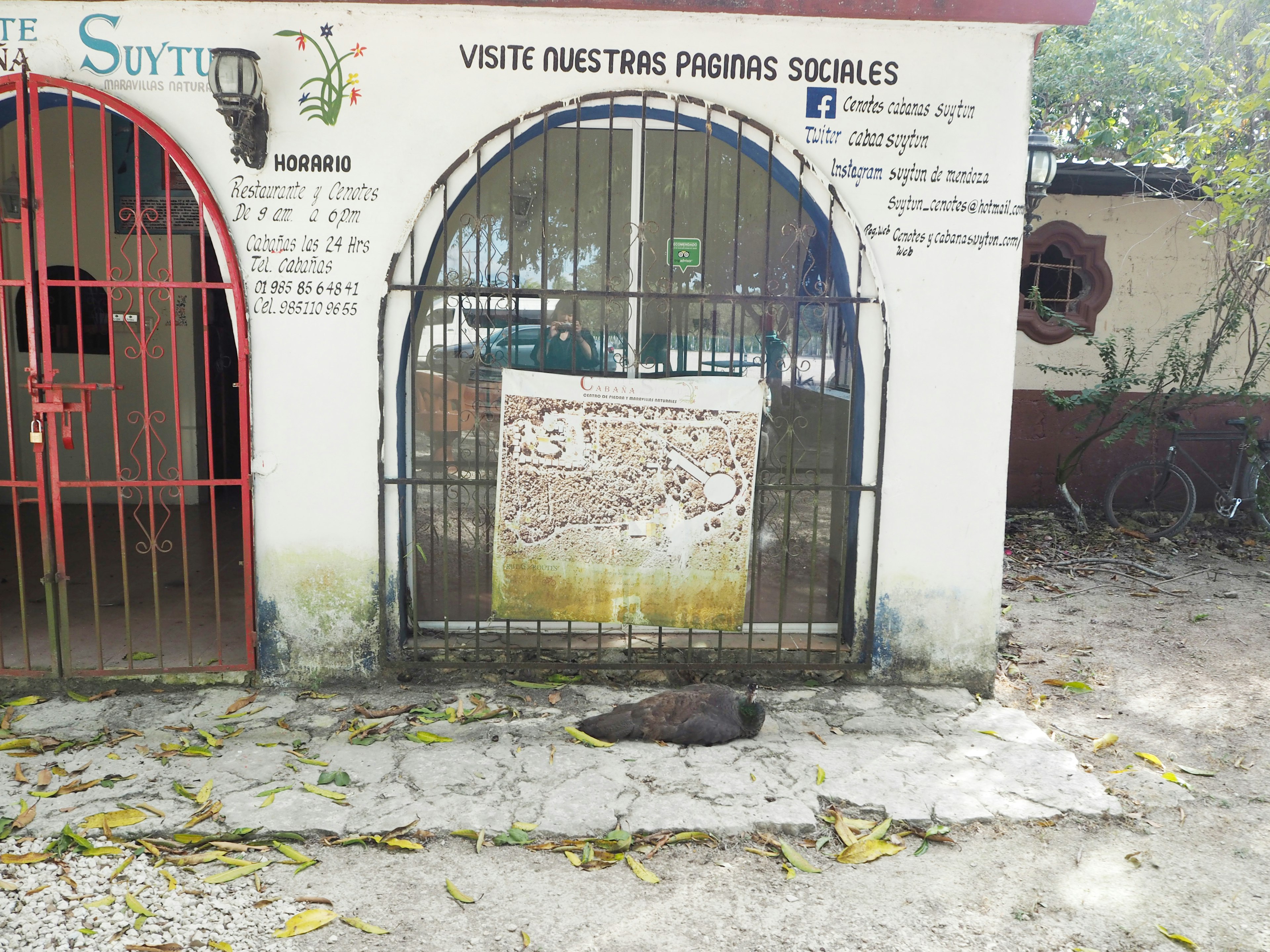 Exterior of a building with red and black gates featuring a large poster on the wall