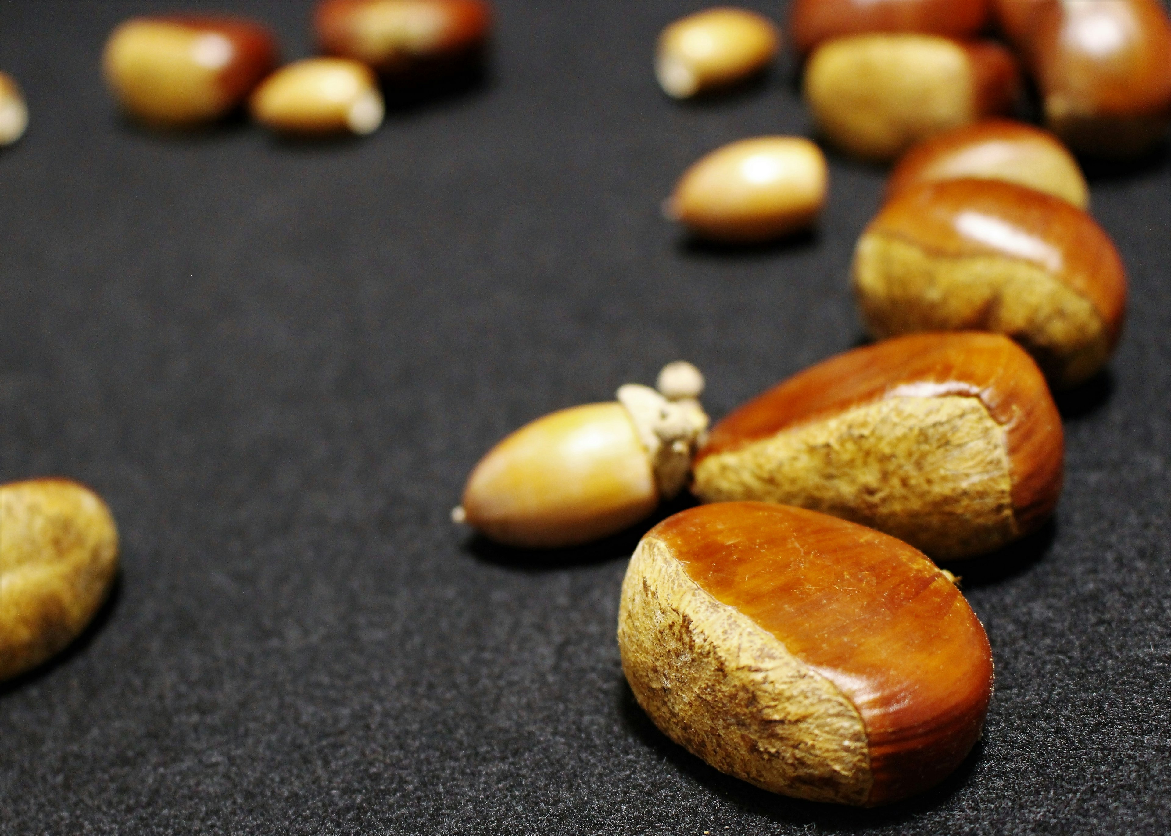 Arrangement of beautiful seeds on a black fabric