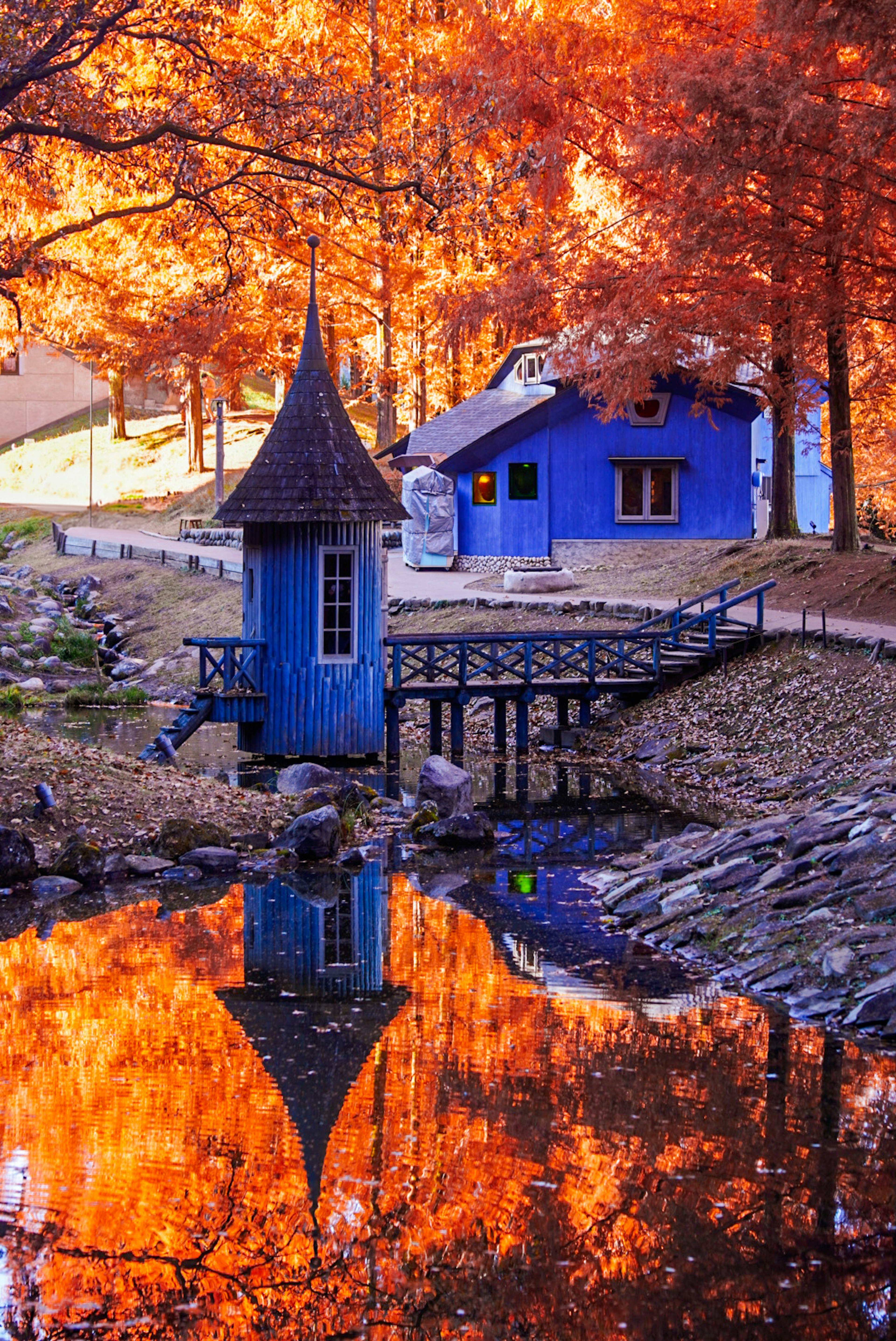 Scenic autumn landscape featuring a blue house and a tranquil pond