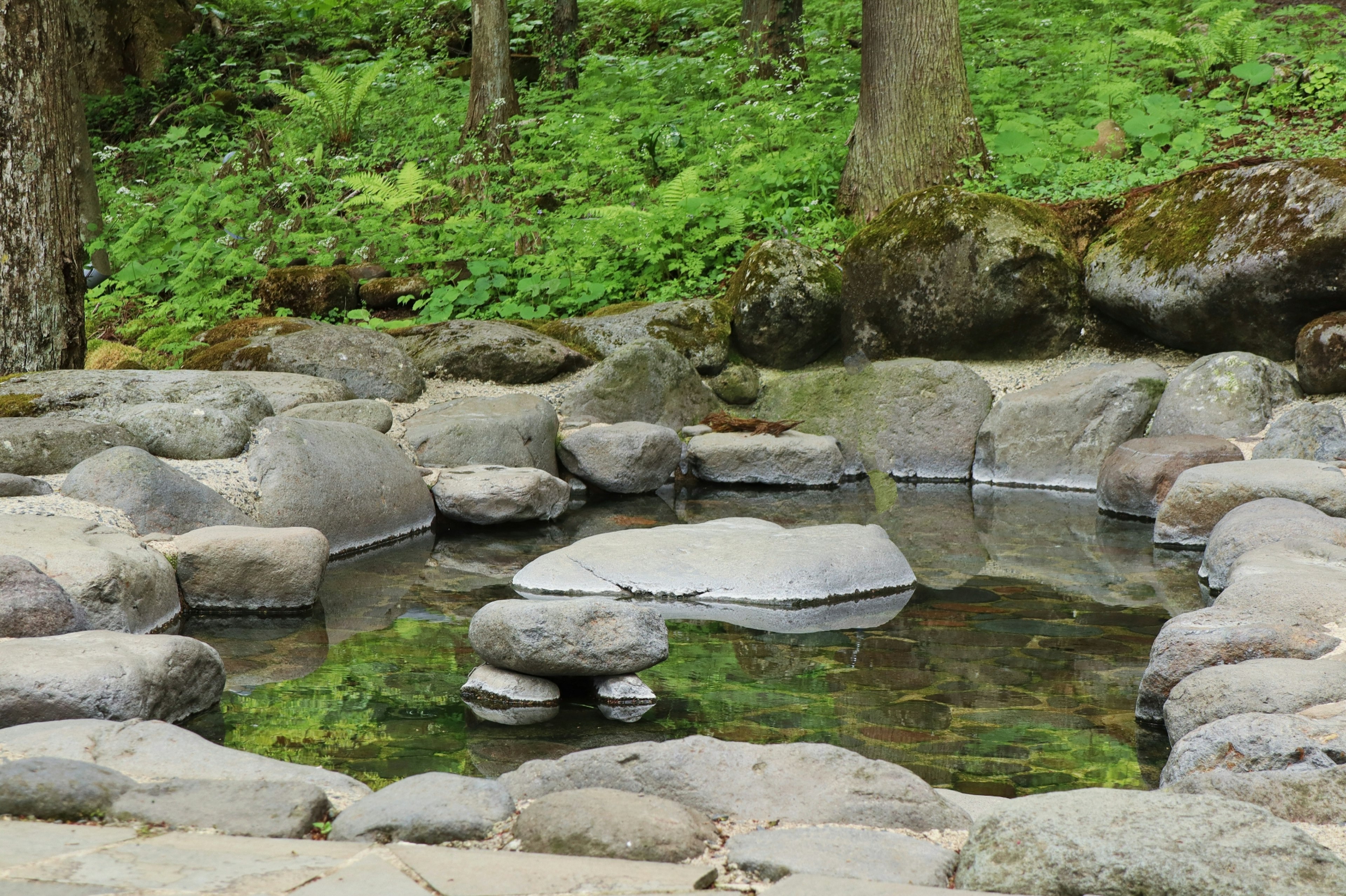 Un pequeño estanque rodeado de un bosque verde y una disposición de piedras