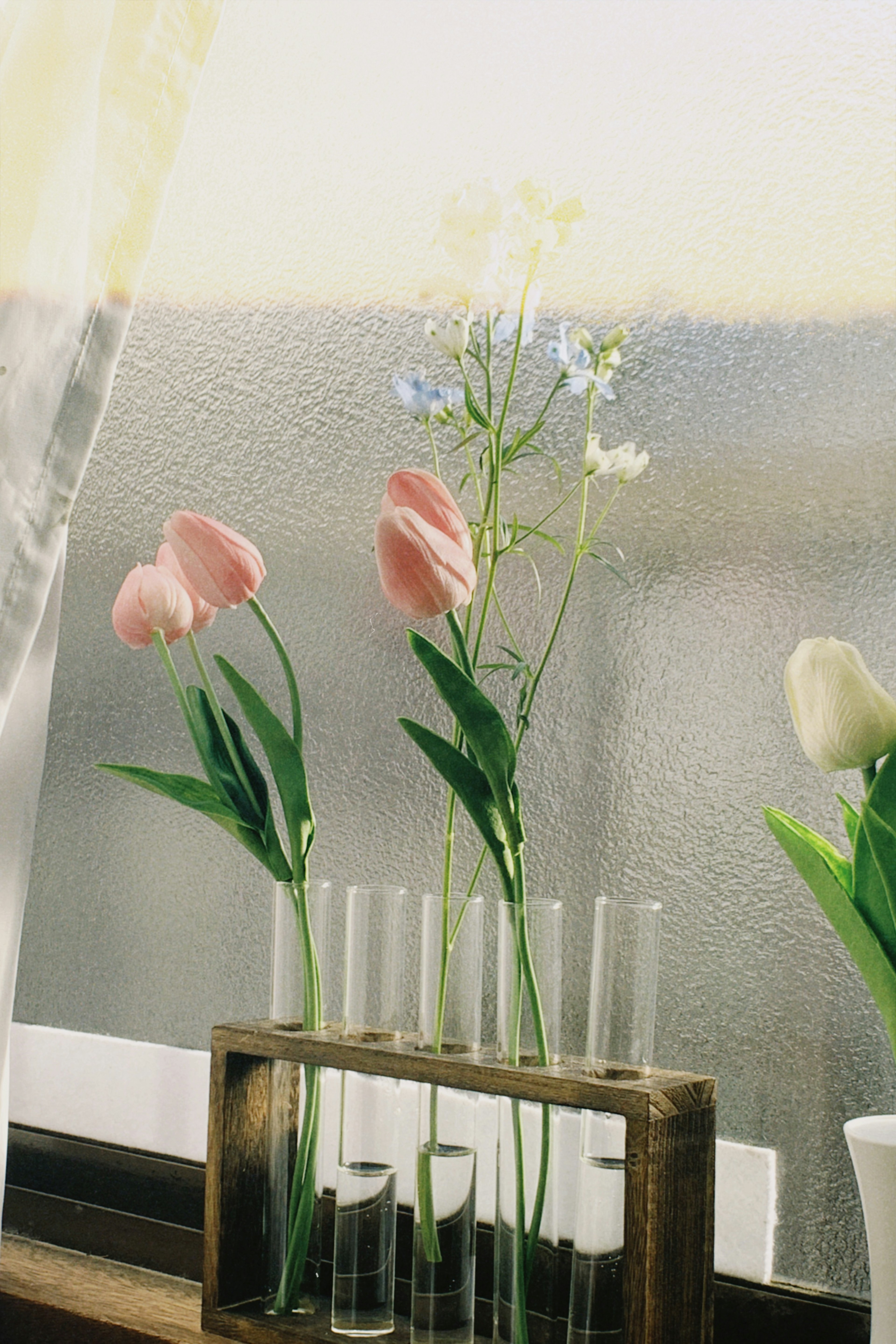 Tulipes roses et fleurs bleues dans un vase en verre sur un rebord de fenêtre