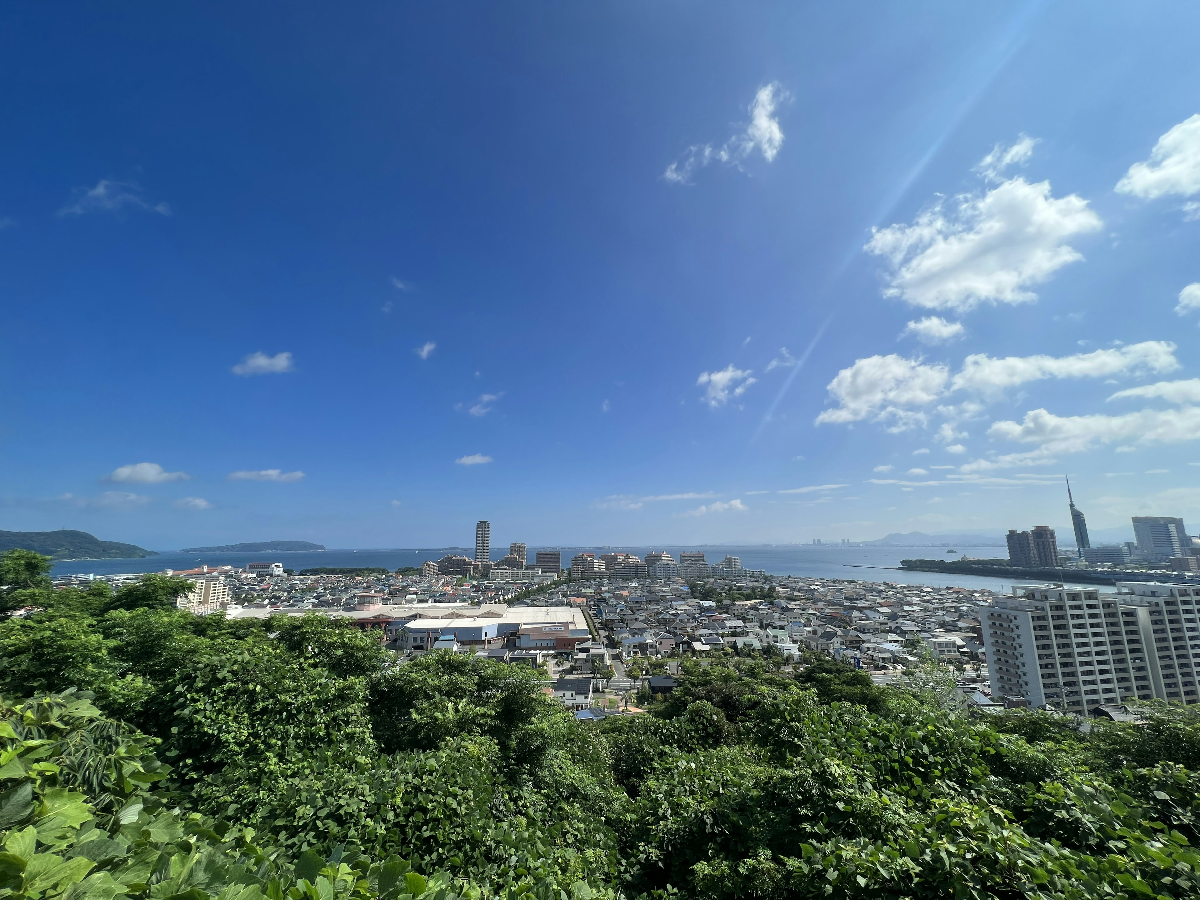 Panoramic view of a coastal city under a clear blue sky with green foliage in the foreground