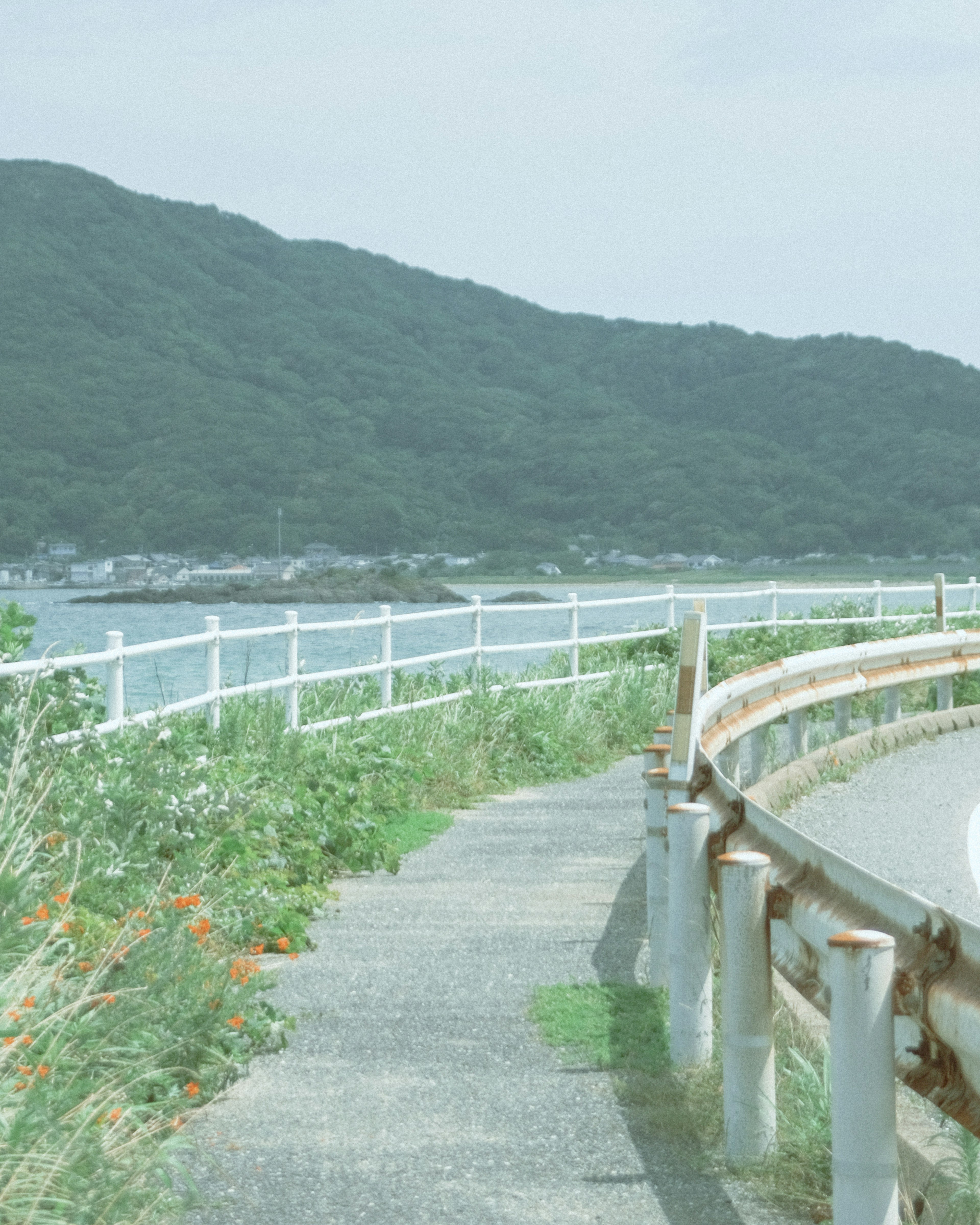 海沿いの緑の道と曲がったフェンスの風景