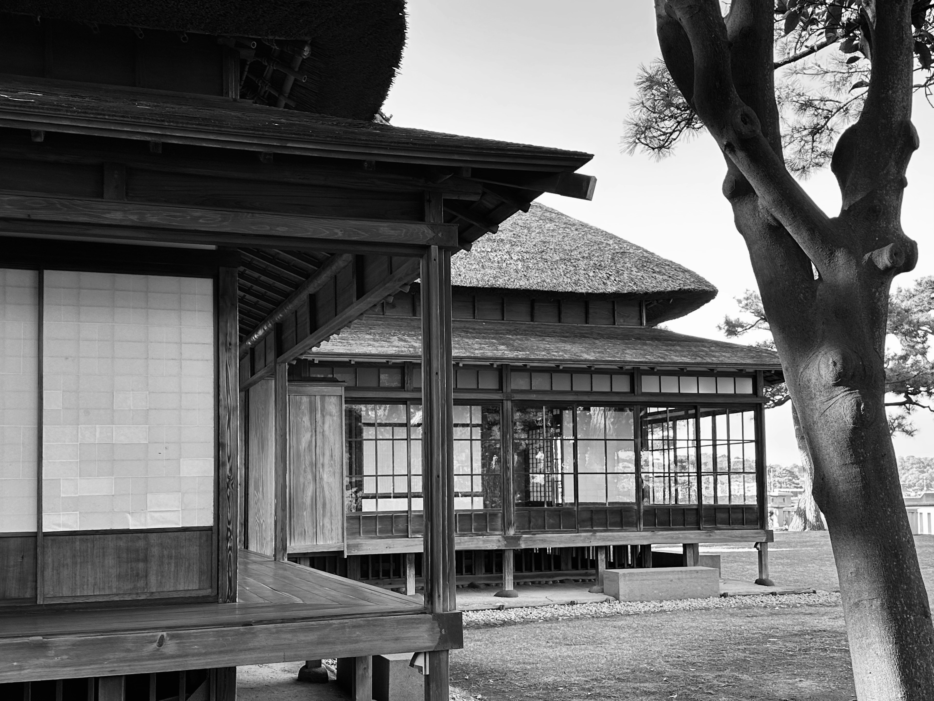 Vista in bianco e nero di case giapponesi tradizionali con architettura in legno