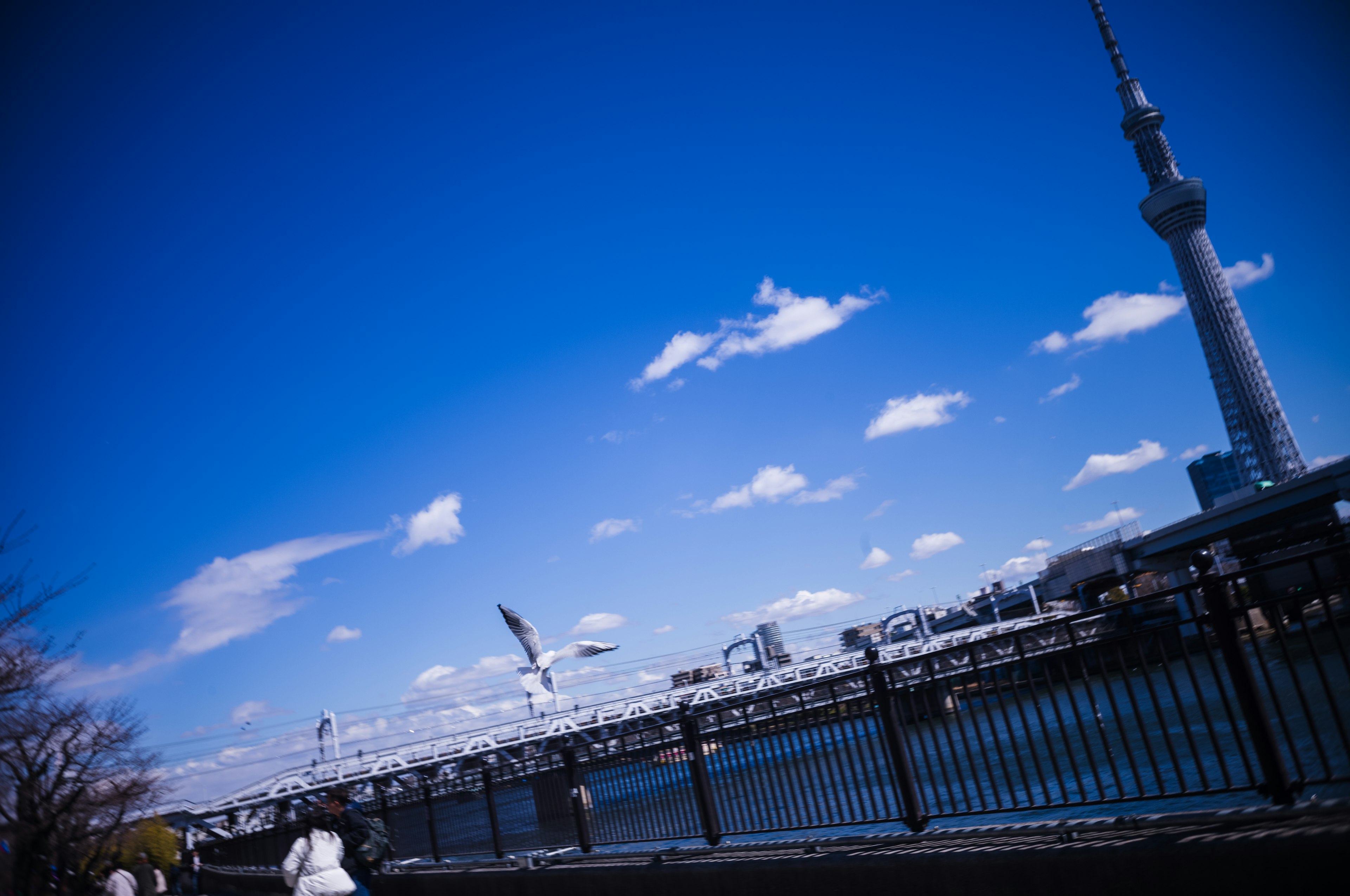 Vista de la Tokyo Skytree bajo un cielo azul con nubes blancas