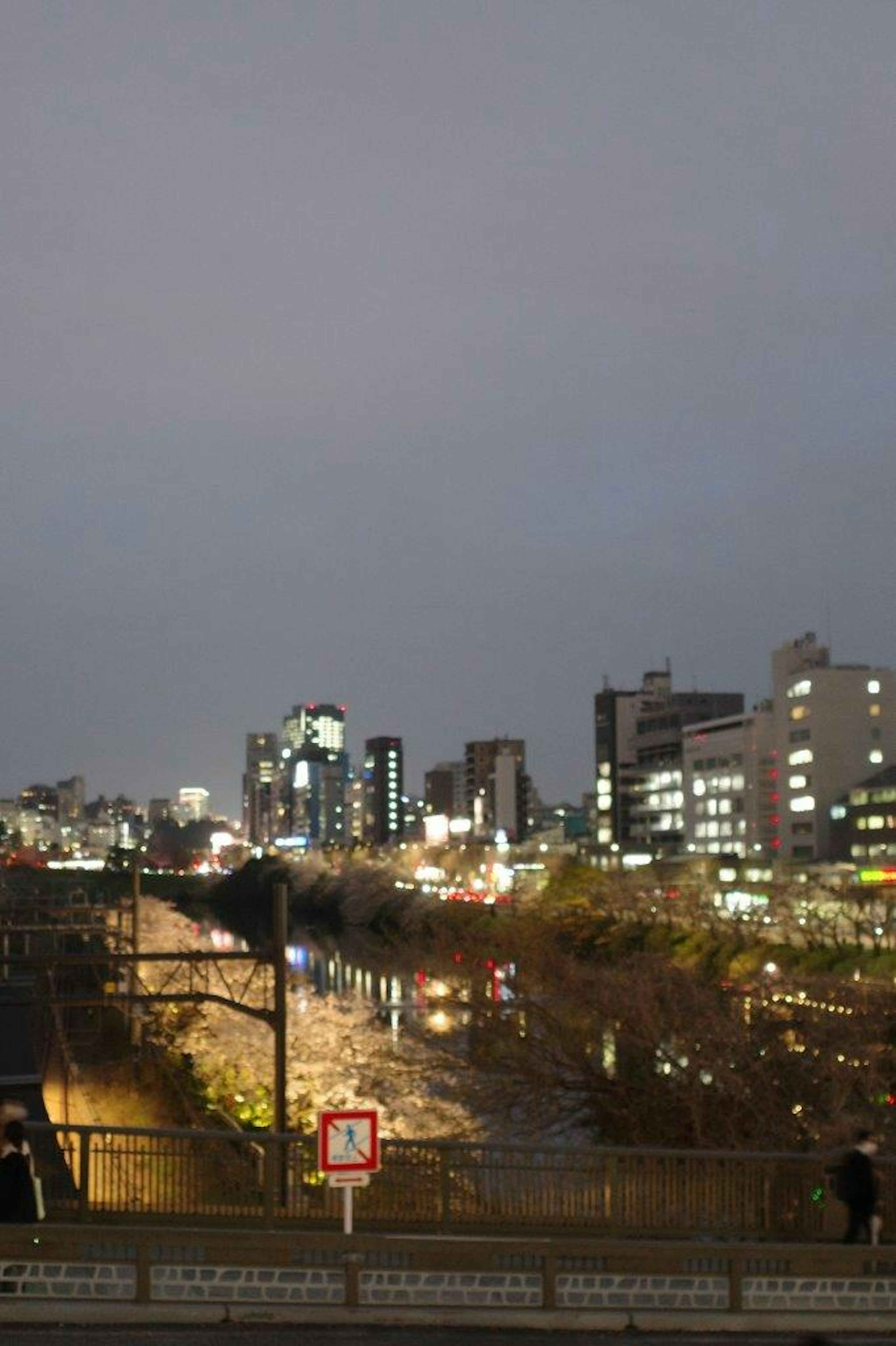 夜景の都市の景観に照らされた建物と川の眺め