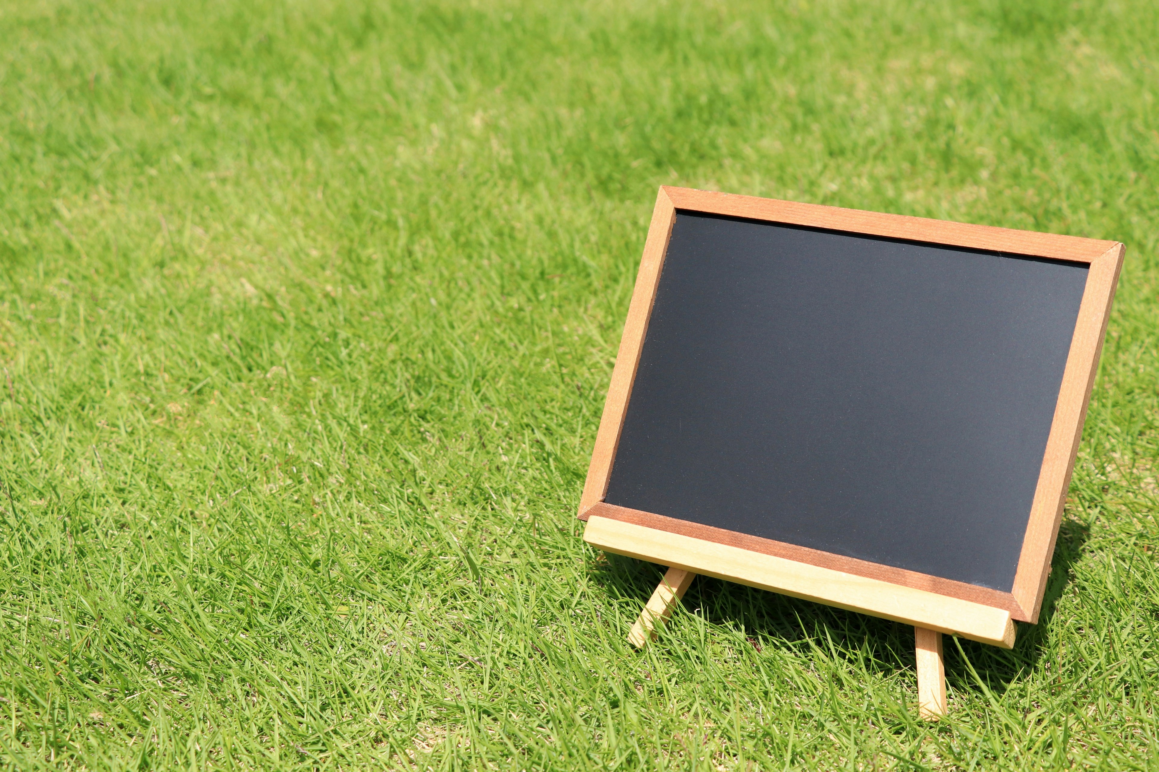 Wooden chalkboard placed on green grass