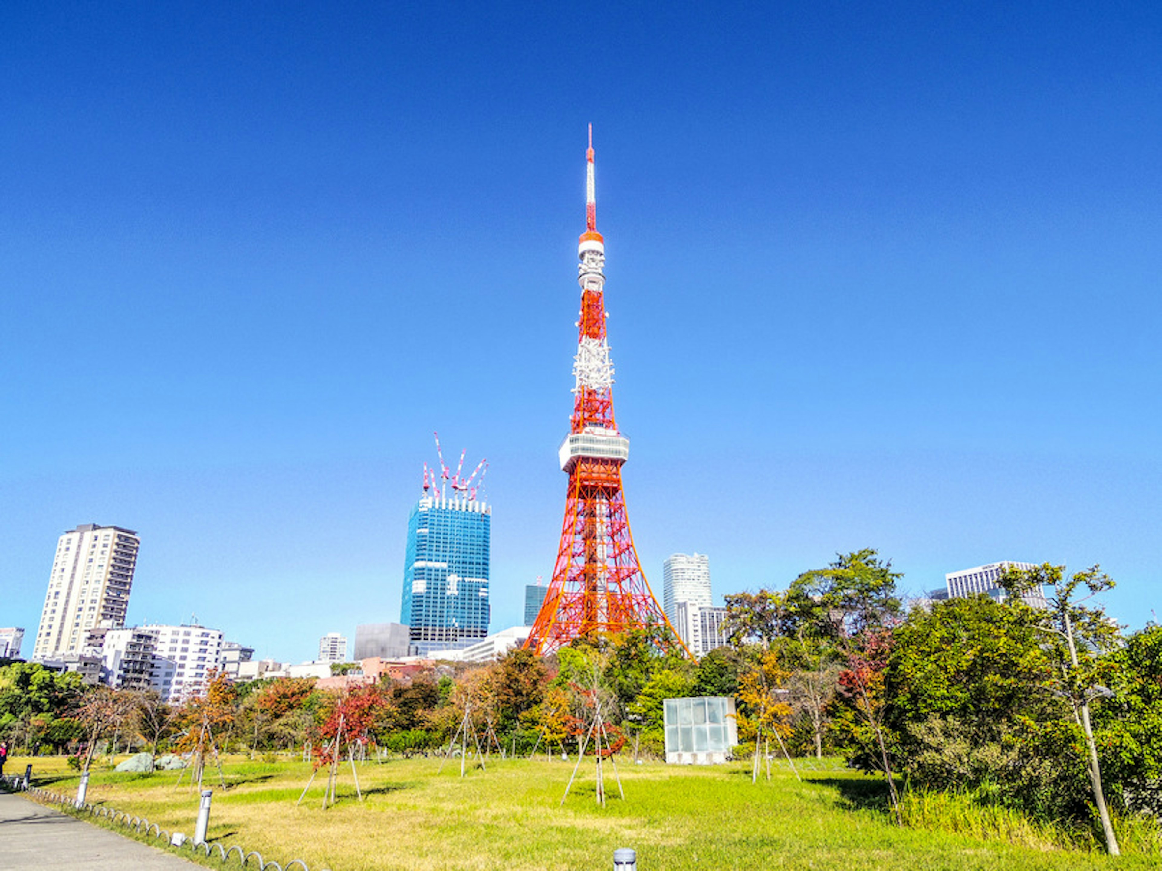 Tokyo Tower with clear blue sky green park and modern buildings