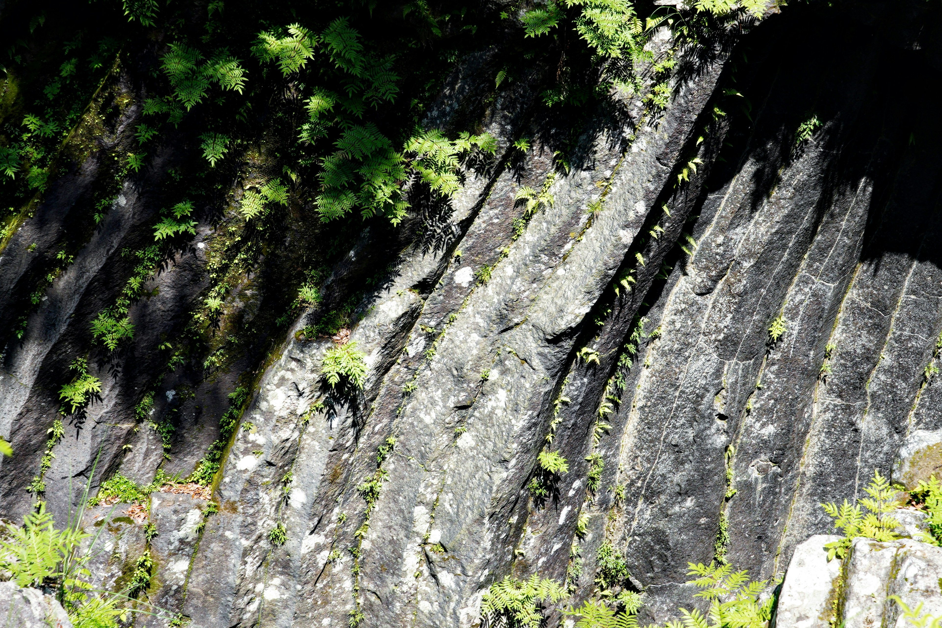 Natural landscape featuring layered rock formations and green ferns