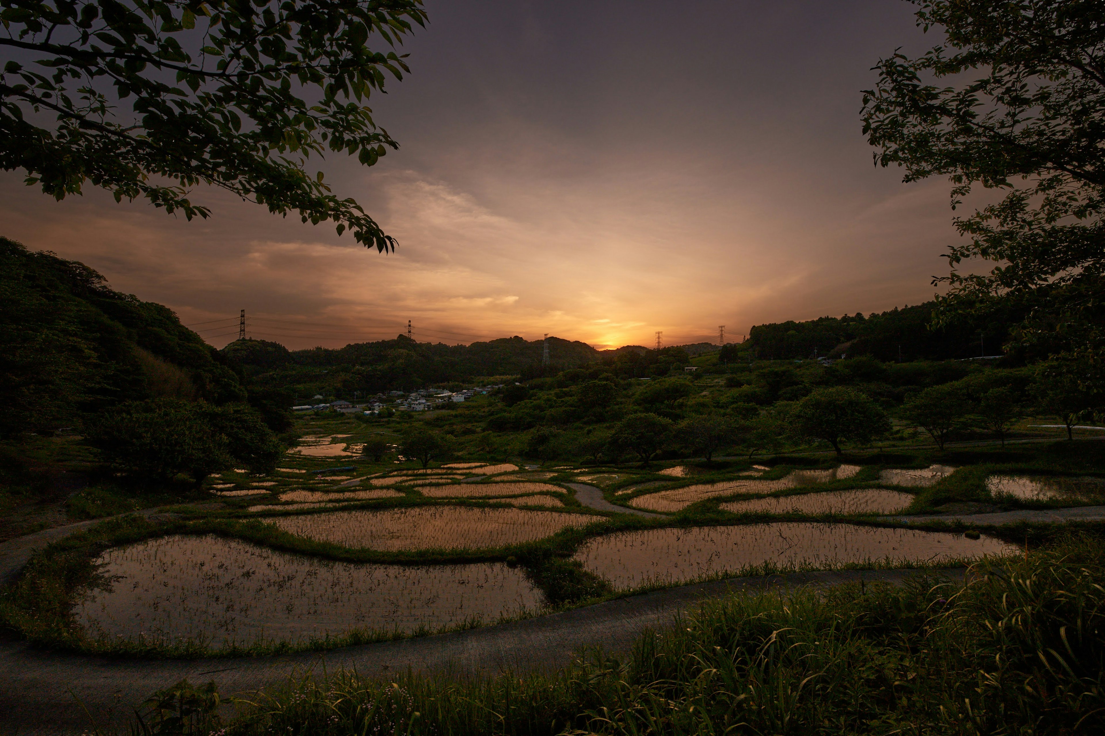 Vista escénica de campos de arroz en terrazas al atardecer con una atmósfera tranquila