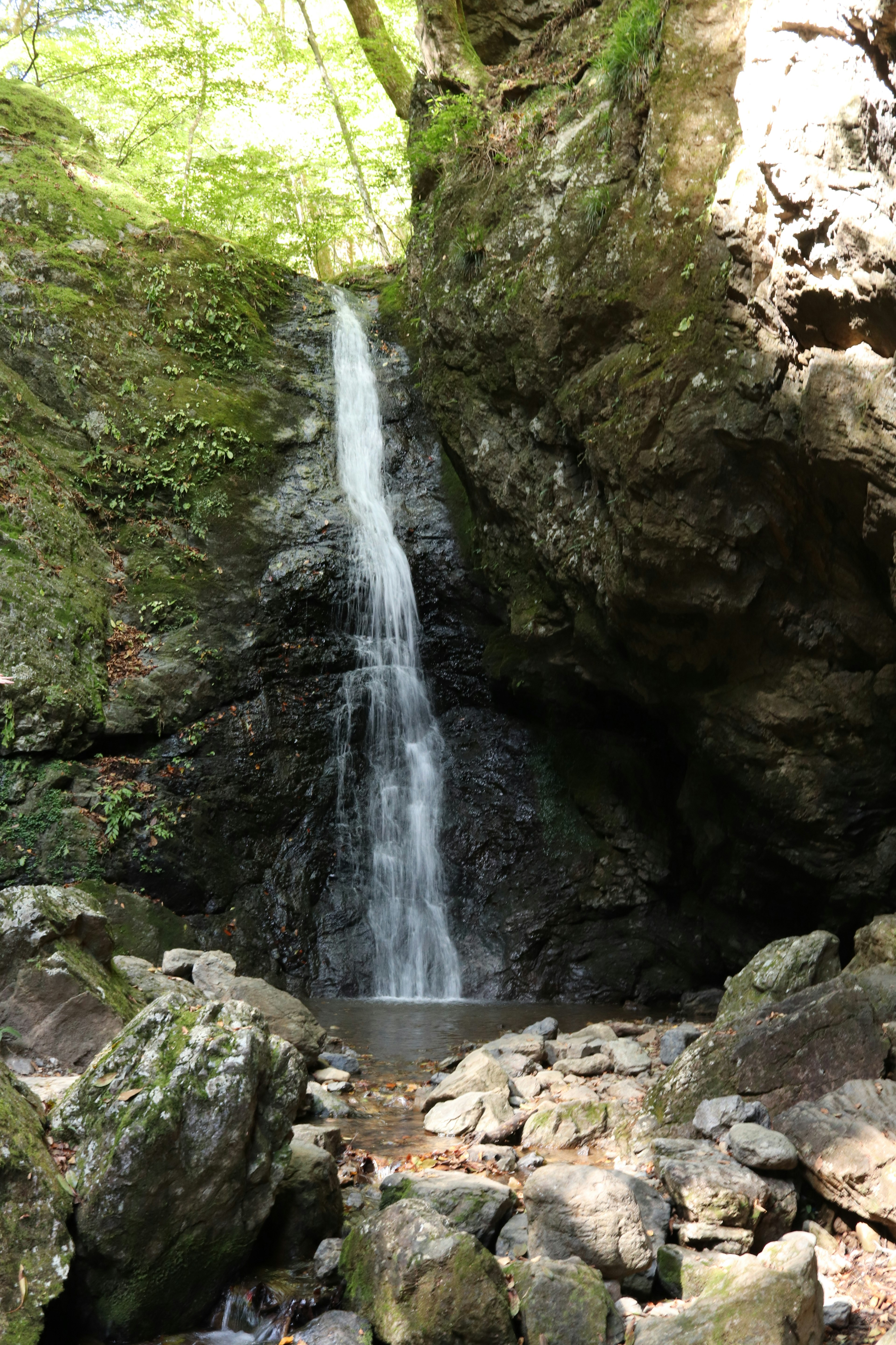 Sebuah air terjun kecil mengalir di antara batu-batu dalam pemandangan hijau yang subur